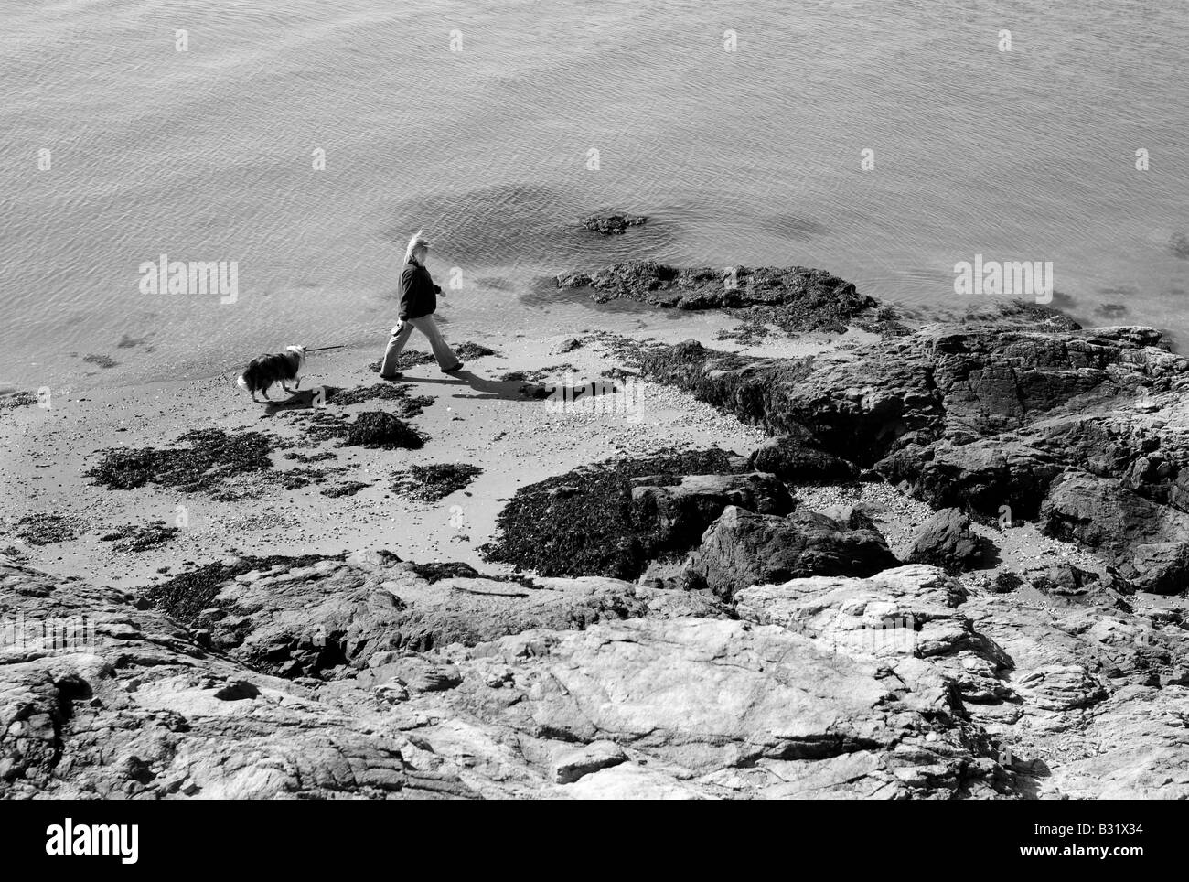 Femme marche chien le long de plage rocheuse à New Haven Connecticut Banque D'Images