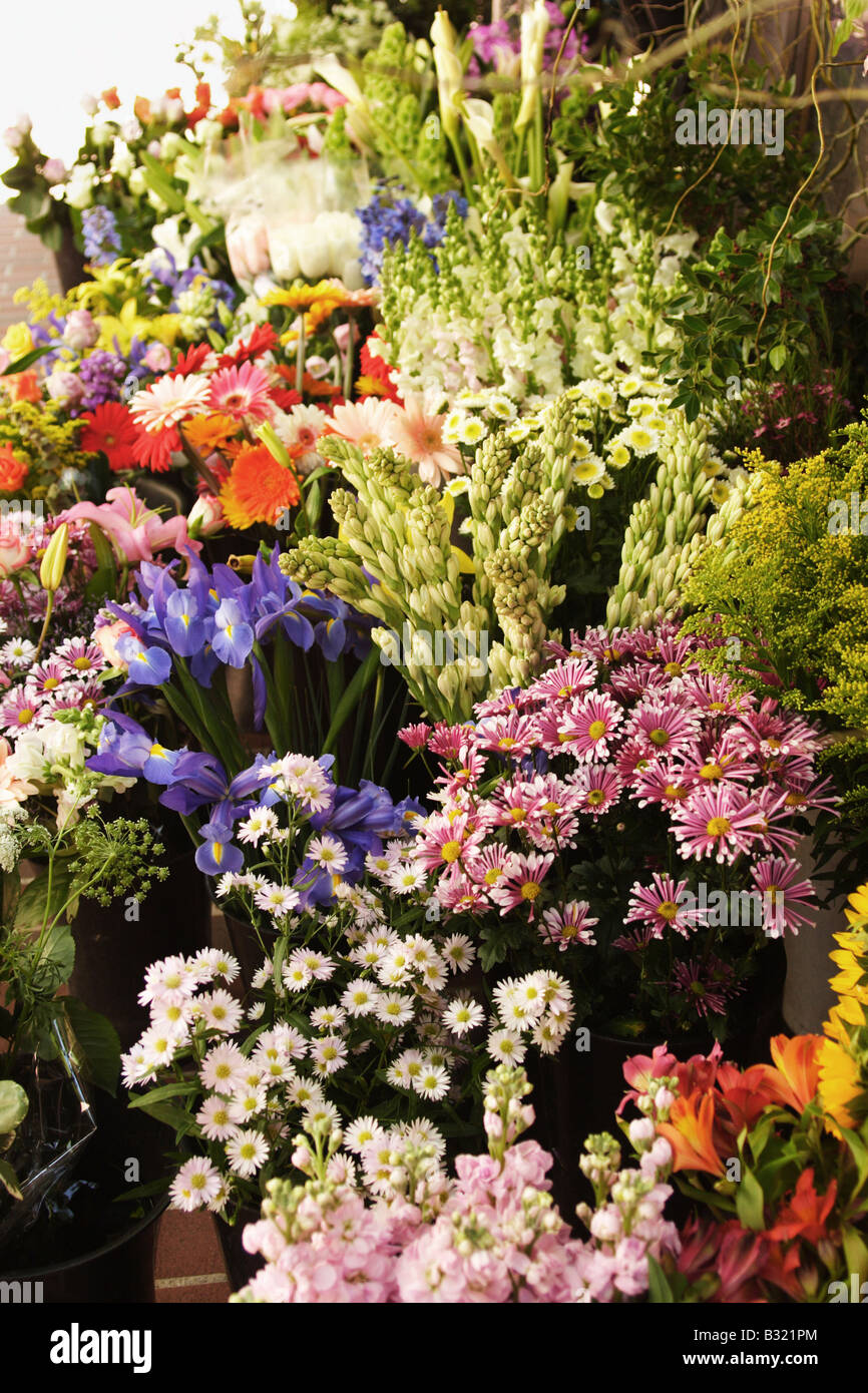 Fleurs à vendre à San Francisco Banque D'Images