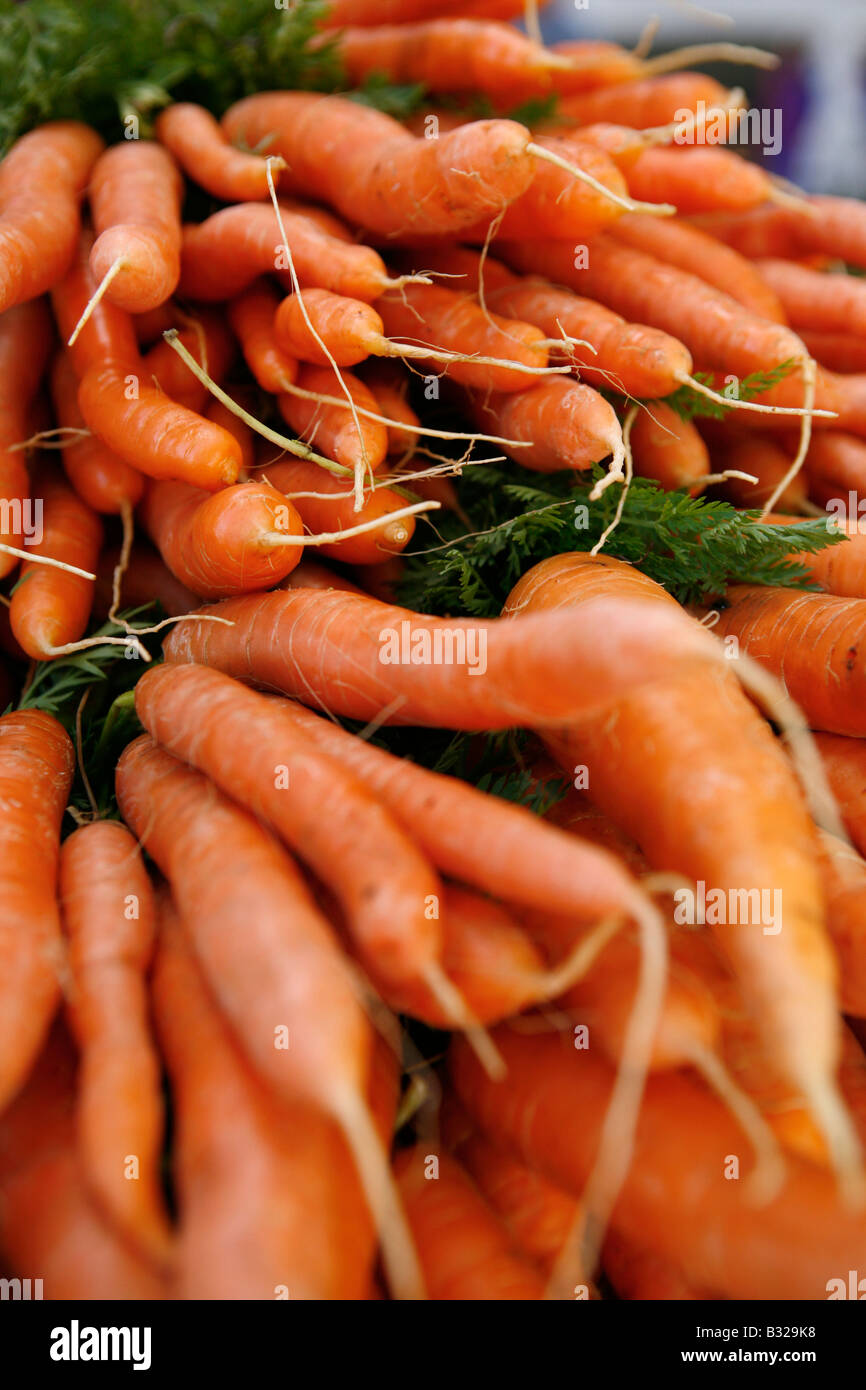 Carottes biologiques frais sur l'affichage à un marché Banque D'Images