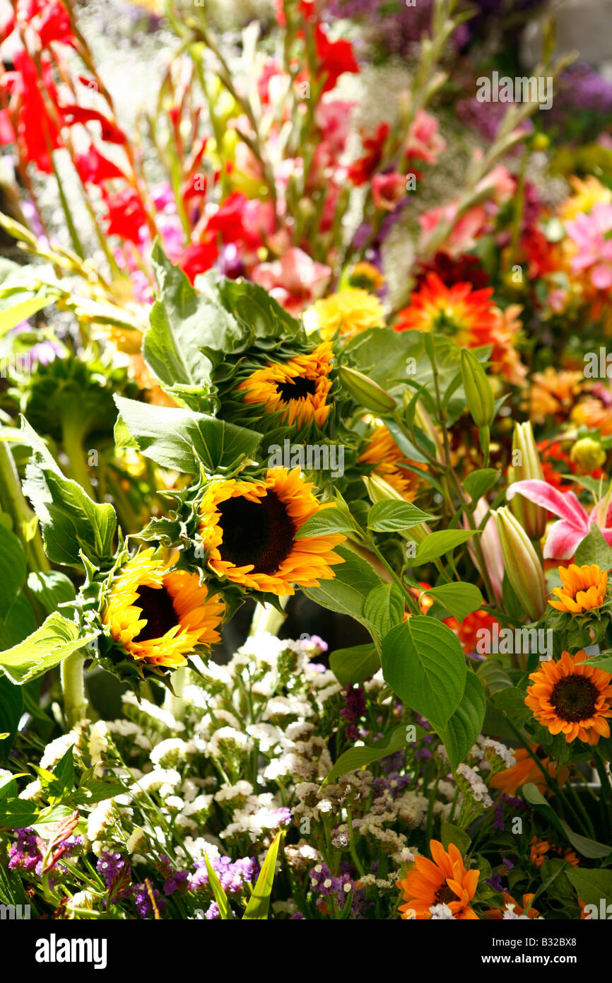 Des fleurs sur l'affichage à un marché Banque D'Images