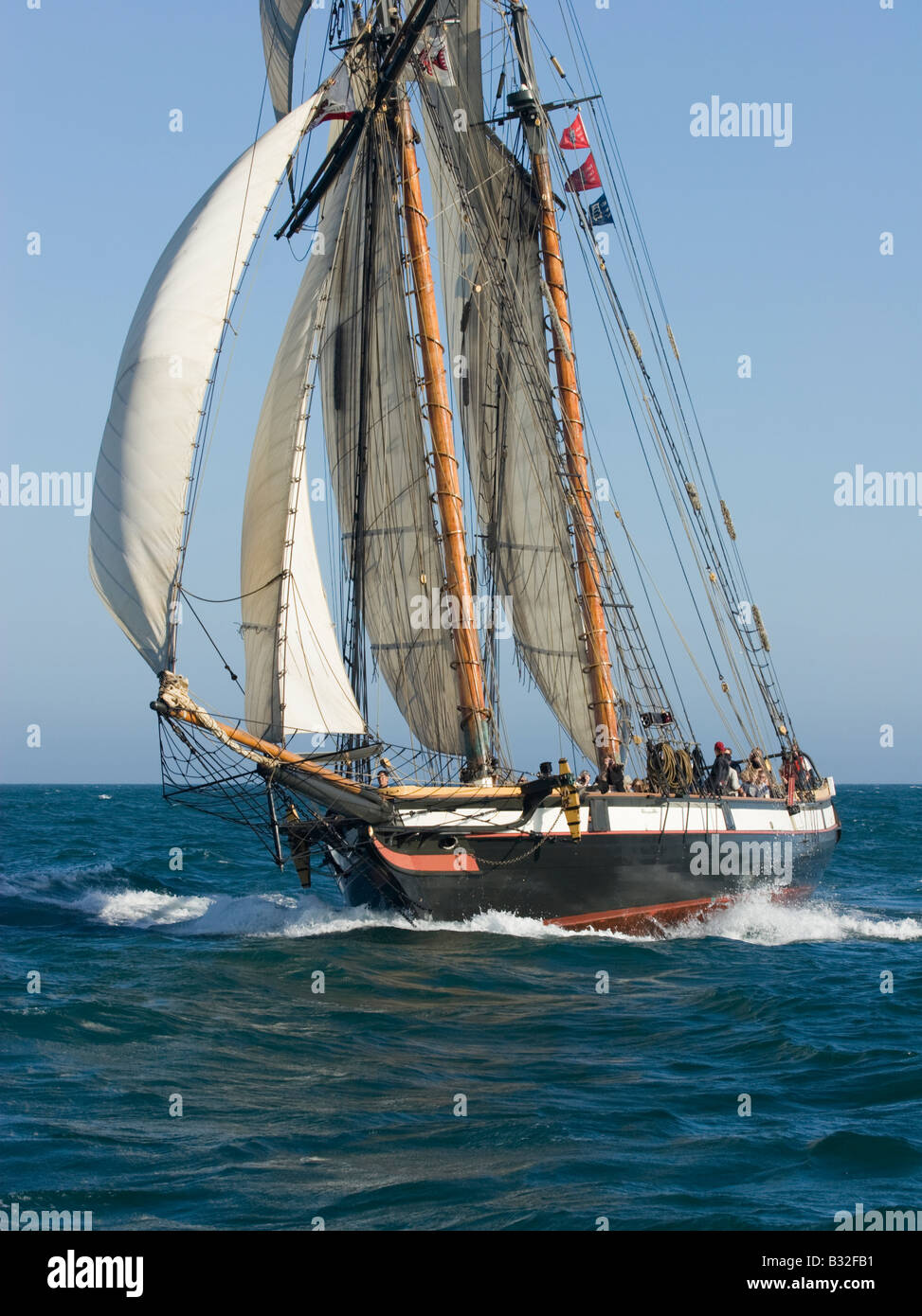 La voile sur le grand voilier au large de la côte de Californie du Sud Banque D'Images