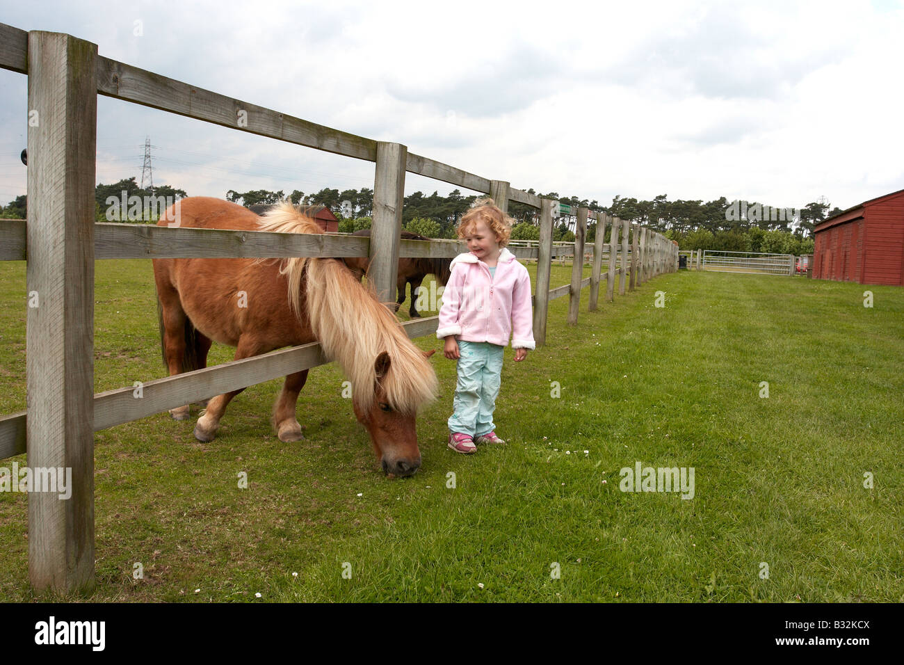 Jeune fille,animal rescure centre, Banque D'Images