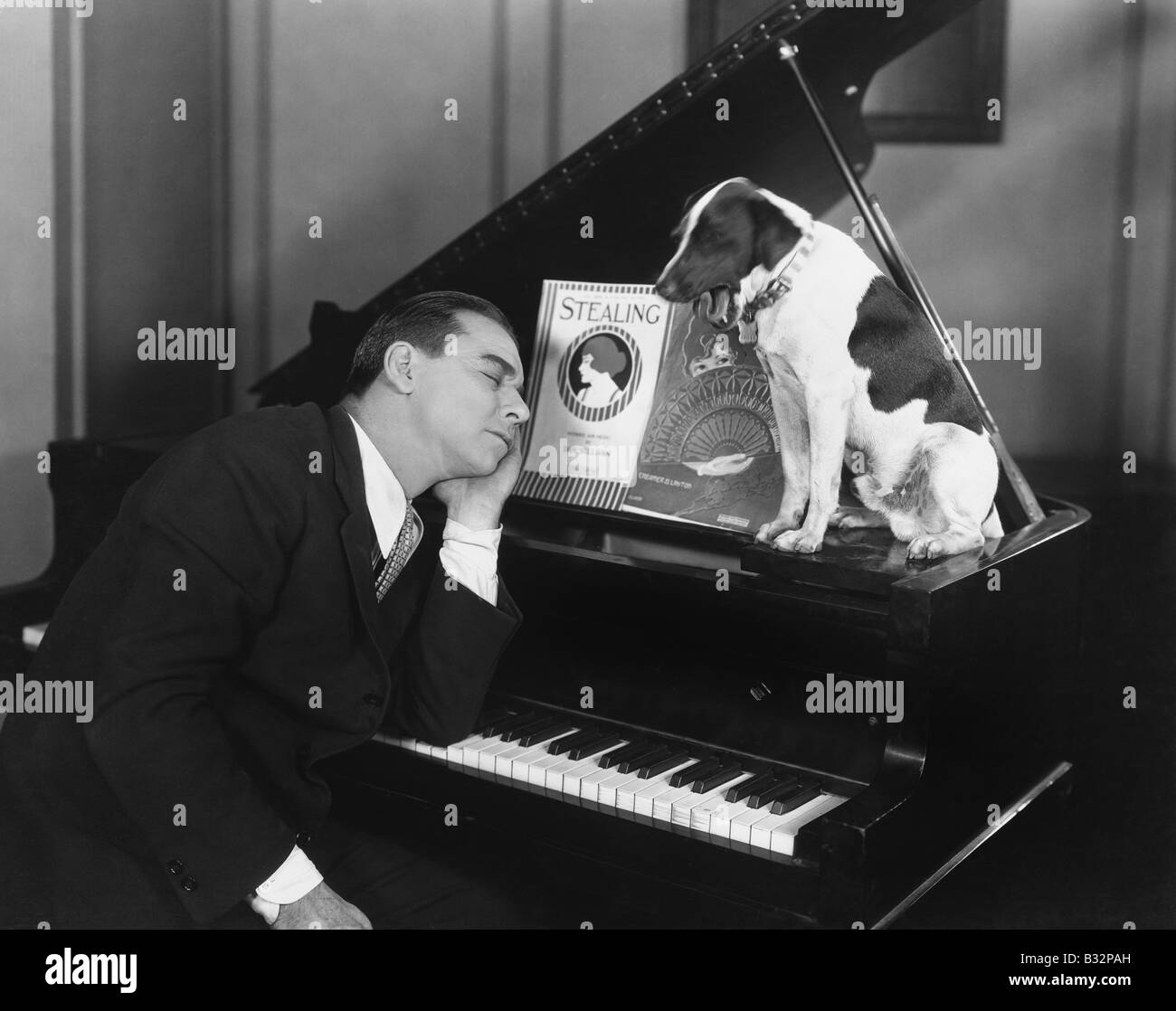 Homme endormi au piano avec chien Banque D'Images