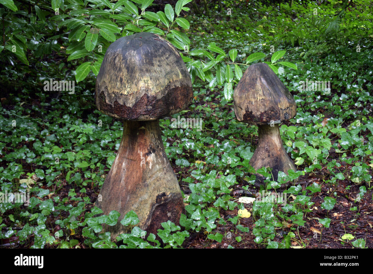 Champignons en bois sculpté comme ornement de jardin dans les bois du Enniscoe House stately home irlandais du comté de Mayo Banque D'Images