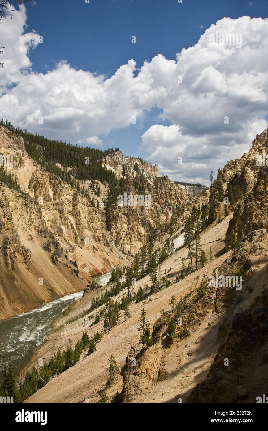 Le GRAND CANYON DU YELLOWSTONE en aval des chutes du parc national de Yellowstone au Wyoming Banque D'Images