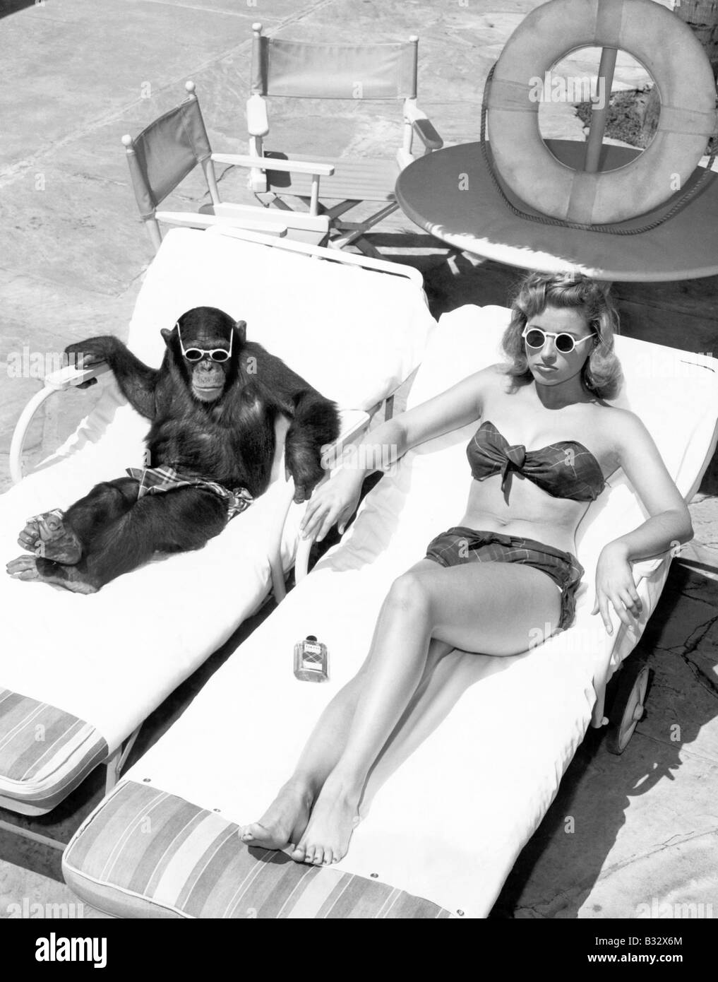 Le chimpanzé et une femme de soleil Banque D'Images