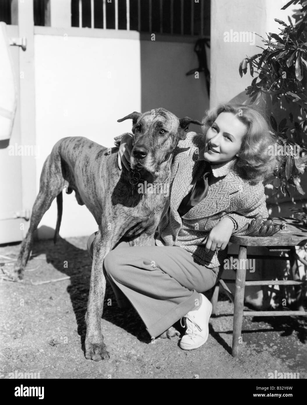 Woman bending à côté de son grand danois de lui donner une accolade Banque D'Images