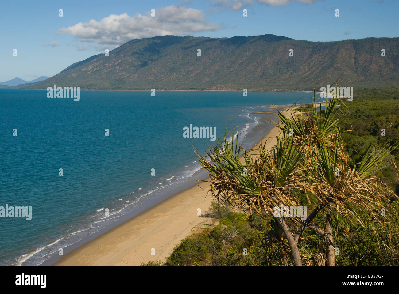 Vue panoramique sur la côte et la plage de Port Douglas dans le Queensland, Australie Banque D'Images