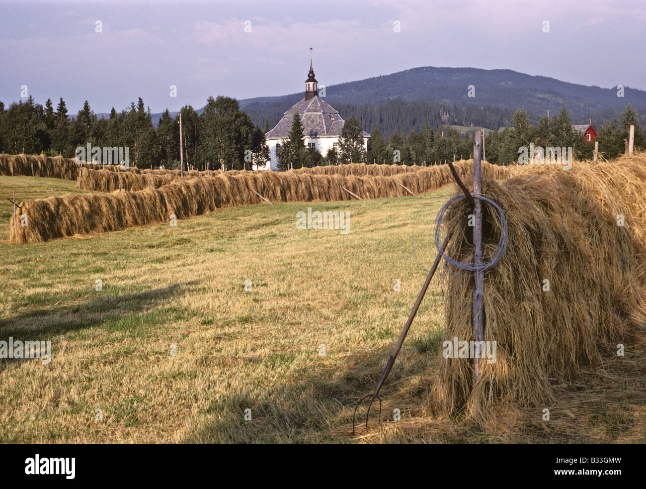 Séchage de la paille dans le champ à côté de l'extérieur de l'église 1552 Mo Norvège 690804 007 Banque D'Images