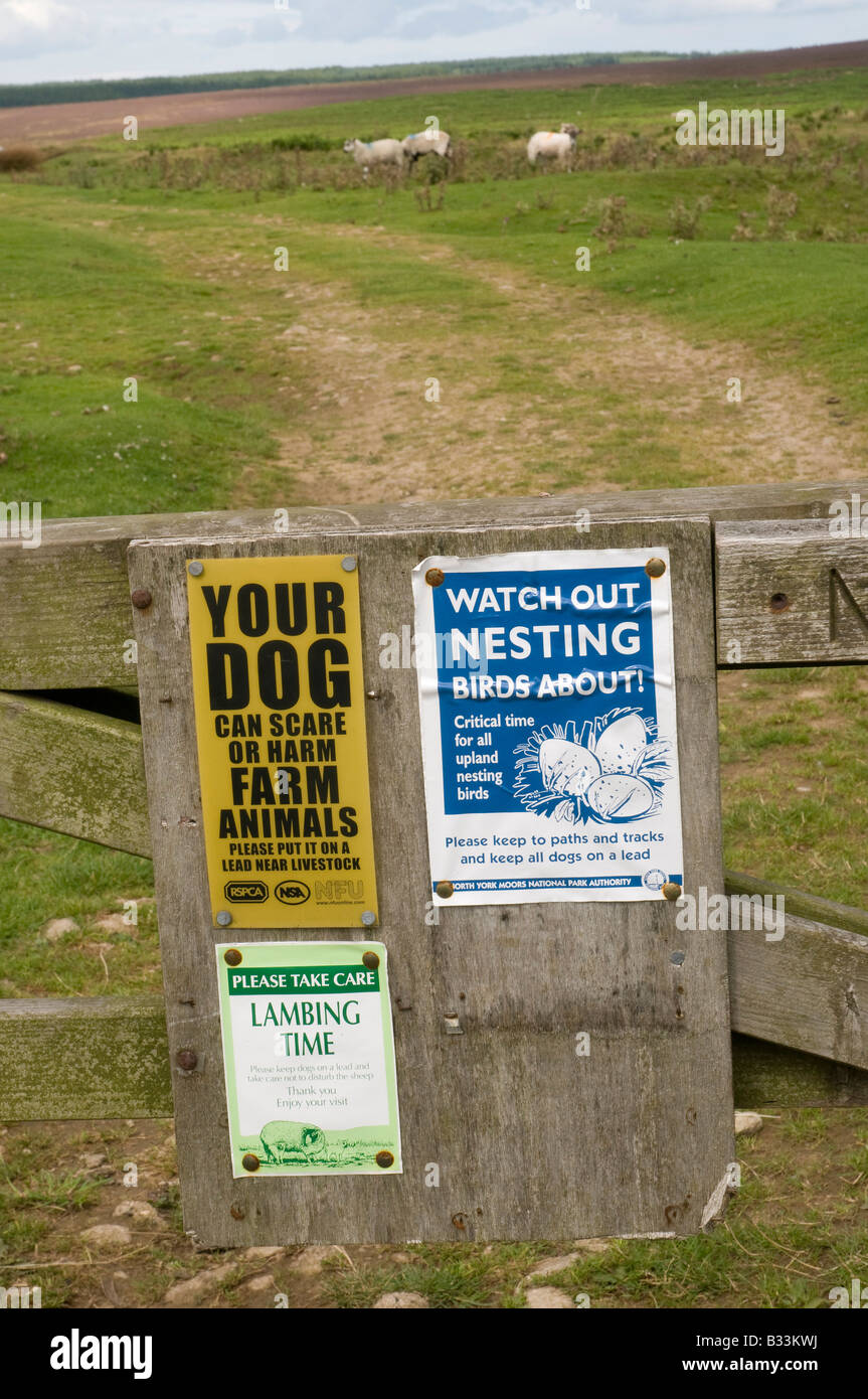 Des panneaux indiquant de garder les chiens en laisse parmi le bétail, North York Moors, Nr Levisham, dans le Nord de l'Angleterre Banque D'Images