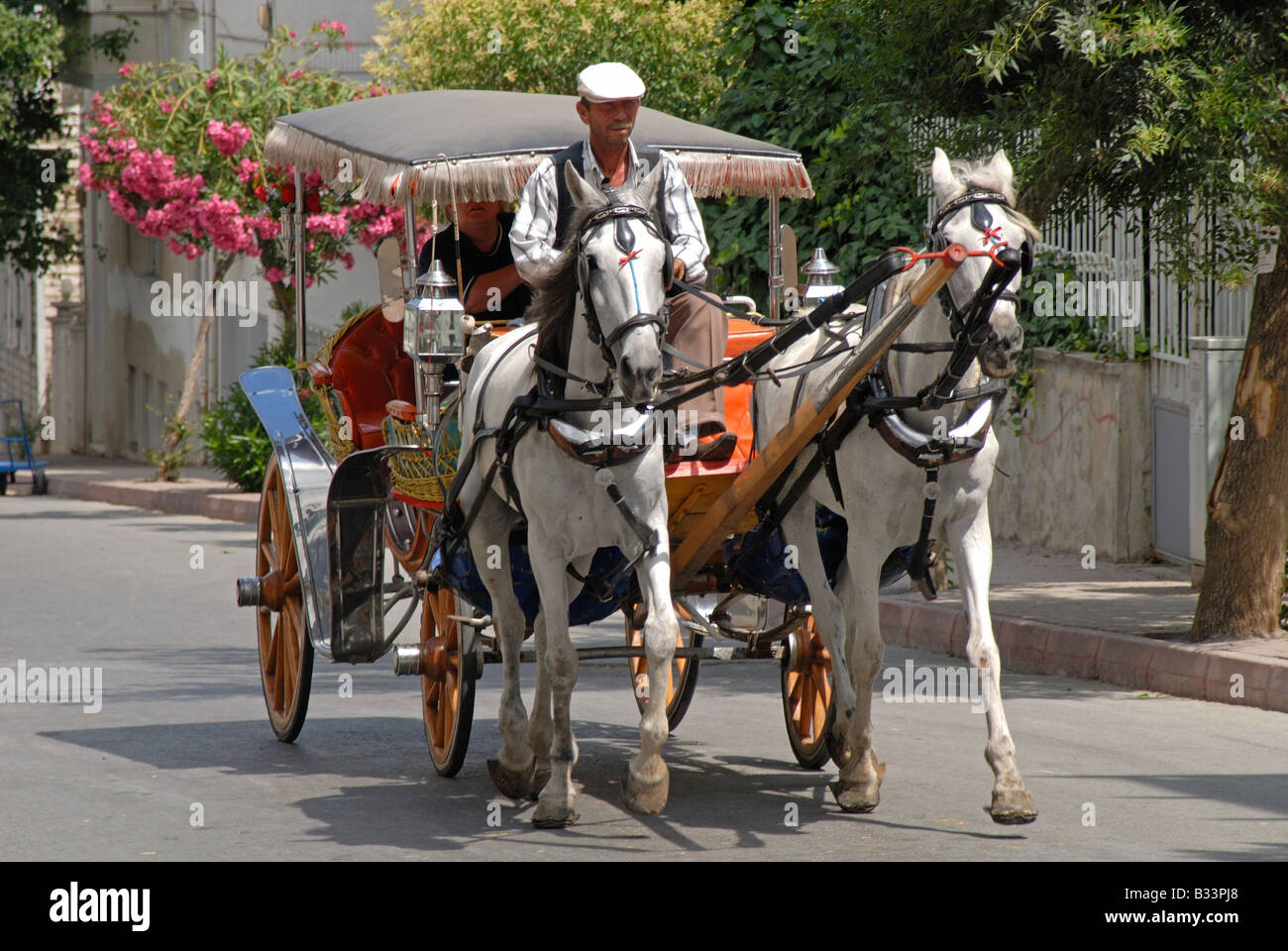 ISTANBUL. Une phaeton (calèche) sur l'un des, Buyukada Îles des Princes dans la mer de Marmara. L'année 2008. Banque D'Images