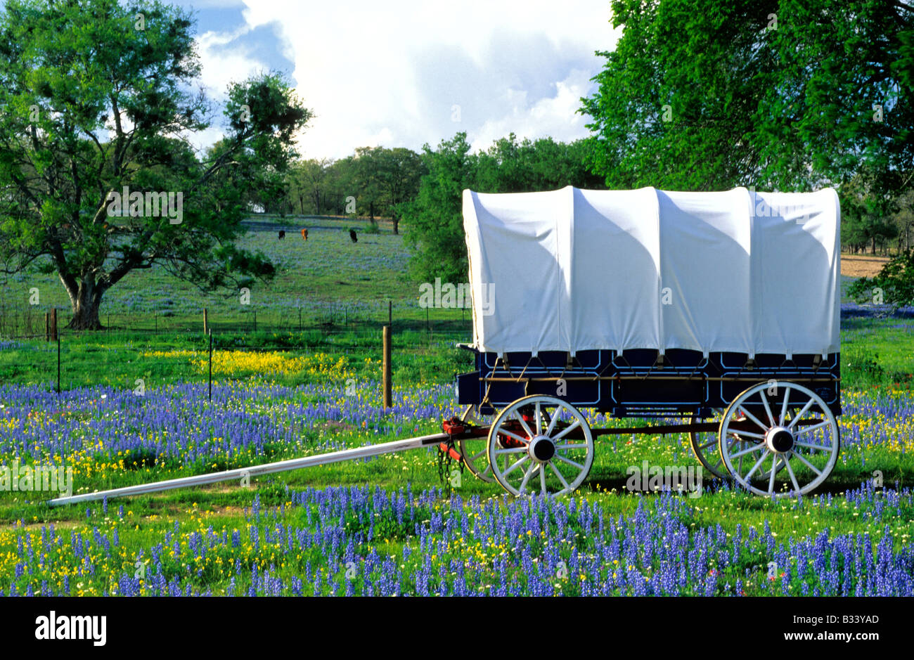 Wagon couvert Banque D'Images