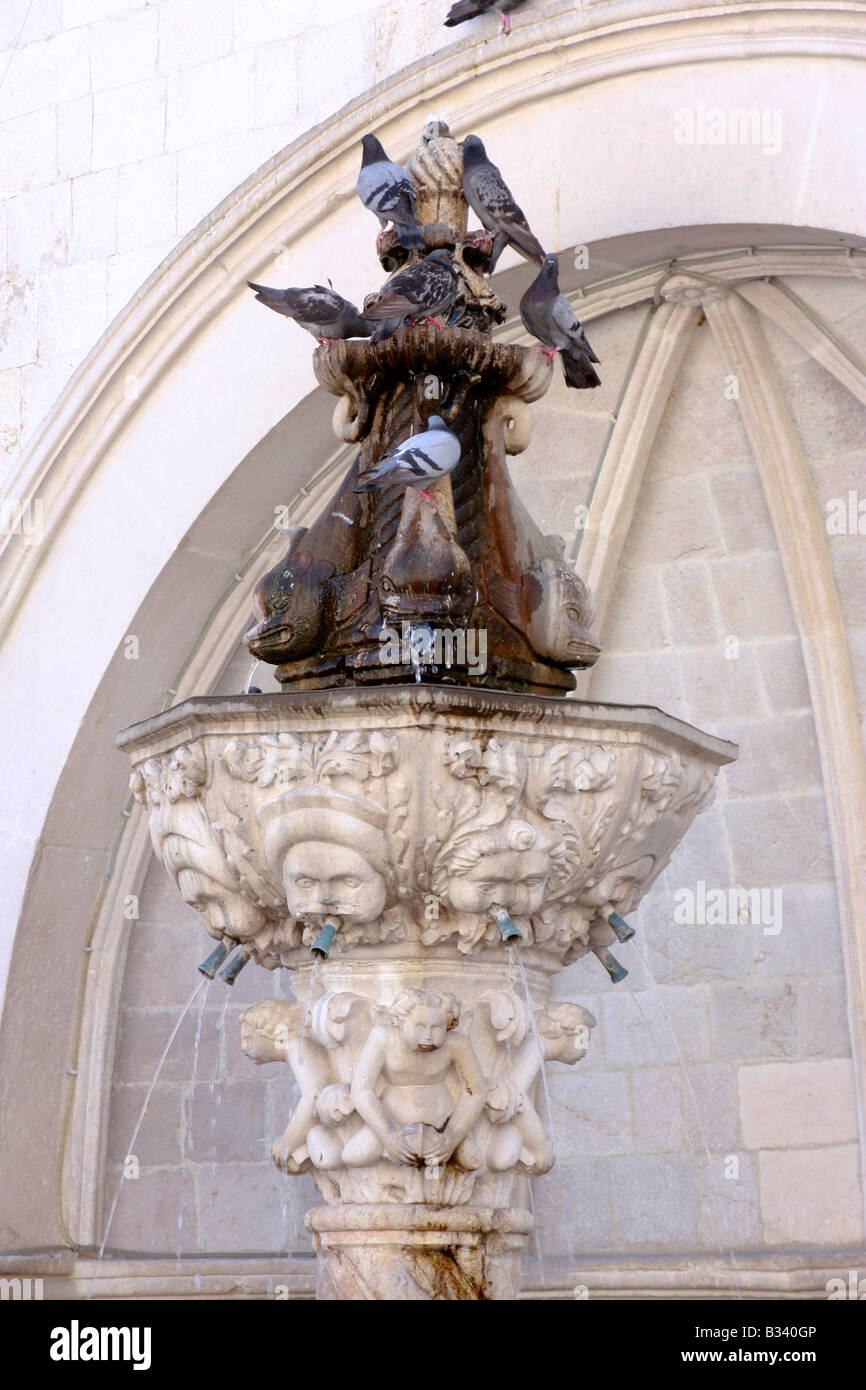Fontaine finement sculpté dans la vieille ville de Dubrovnik est un endroit potable préférés pour les oiseaux, Banque D'Images