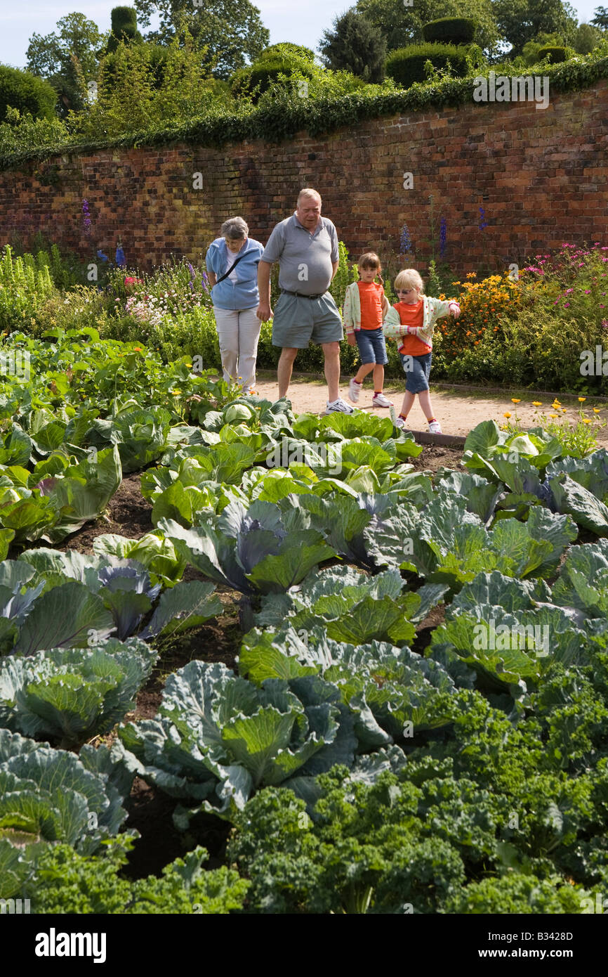 Knutsford Cheshire UK Tatton Hall Cuisine Jardin grands-parents et petits-enfants admirant légumes Banque D'Images