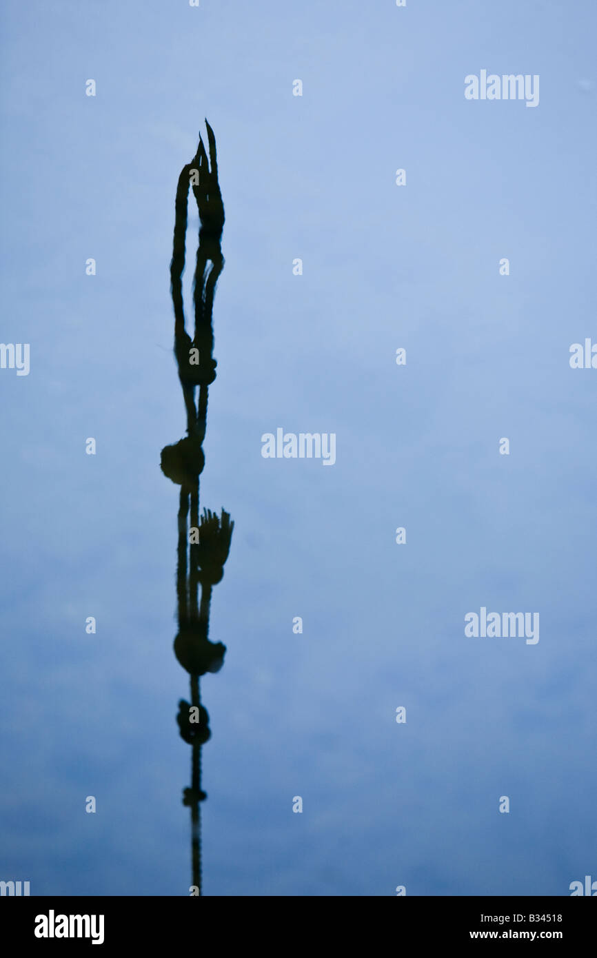 La fin d'un swing avec corde noeuds et un ciel nuageux ciel bleu, c'est reflet dans une rivière. Banque D'Images