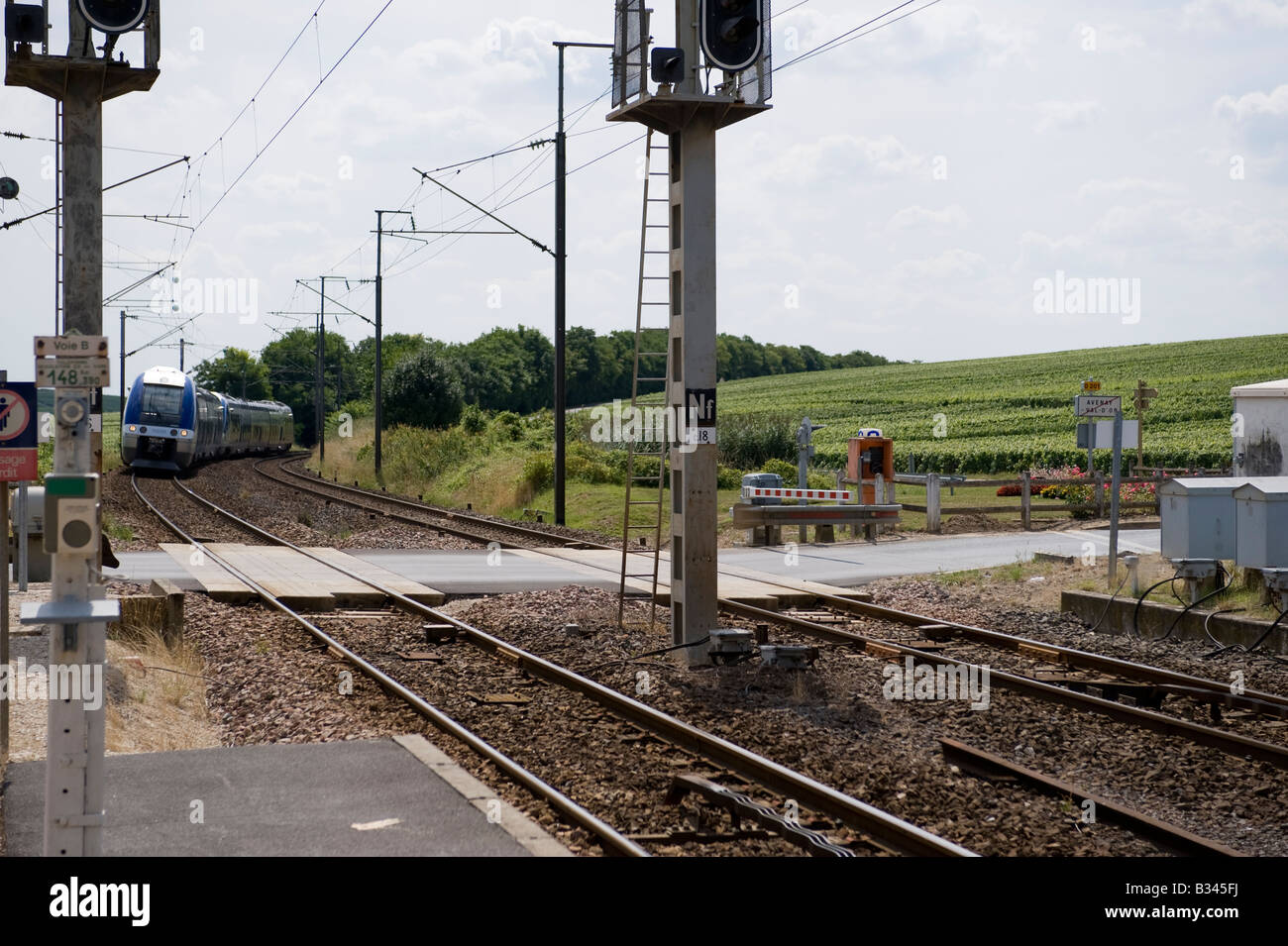 Train d'Epernay proche d'Avenay Val d'Or gare Champagne Ardenne france avec vignes en arrière-plan Banque D'Images Train d'Epernay proche d'Avenay Val d'Or gare Champagne Ardenne france avec vignes en arrière-plan Banque D'Images