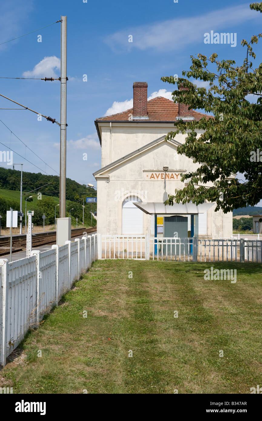 D'Avenay Val d'Or, Champagne Ardenne, France Banque D'Images D'Avenay Val d'Or, Champagne Ardenne, France Banque D'Images