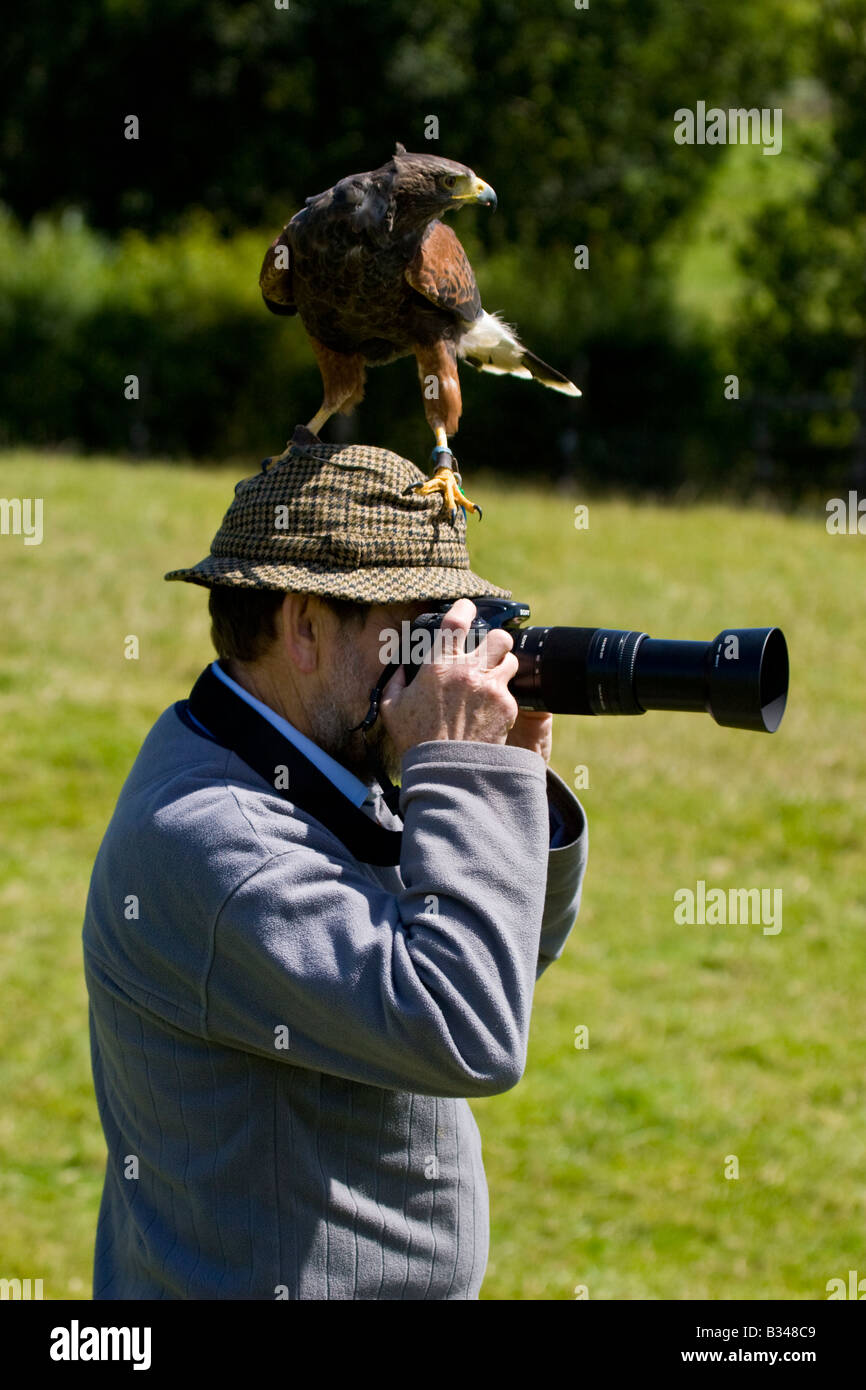 Coup d'humour de photographe naturaliste caméra pointant avec oiseau de proie perché sur sa tête Banque D'Images