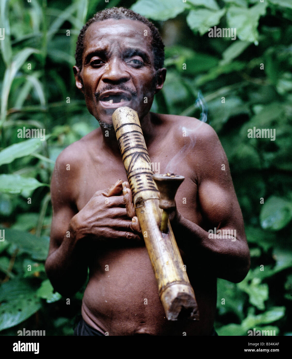 L'Ouganda, forêt de Semliki, Bundibugiyo. Bandes de pygmées Batwa chasser et pêcher dans la forêt de Semliki de l'ouest de l'Ouganda, une extension de la grande forêt de l'Ituri du Congo RDC. Rarement plus de cinq pieds de haut, les Batwa sont de descendance mixte, étant en moyenne de six pouces plus grands que leurs cousins pygmées Bambuti qui vivent à l'intérieur de la forêt du Congo.après de fortes pluies, cet homme fume du cannabis à l'aide d'un tuyau en bambou traditionnel. Banque D'Images