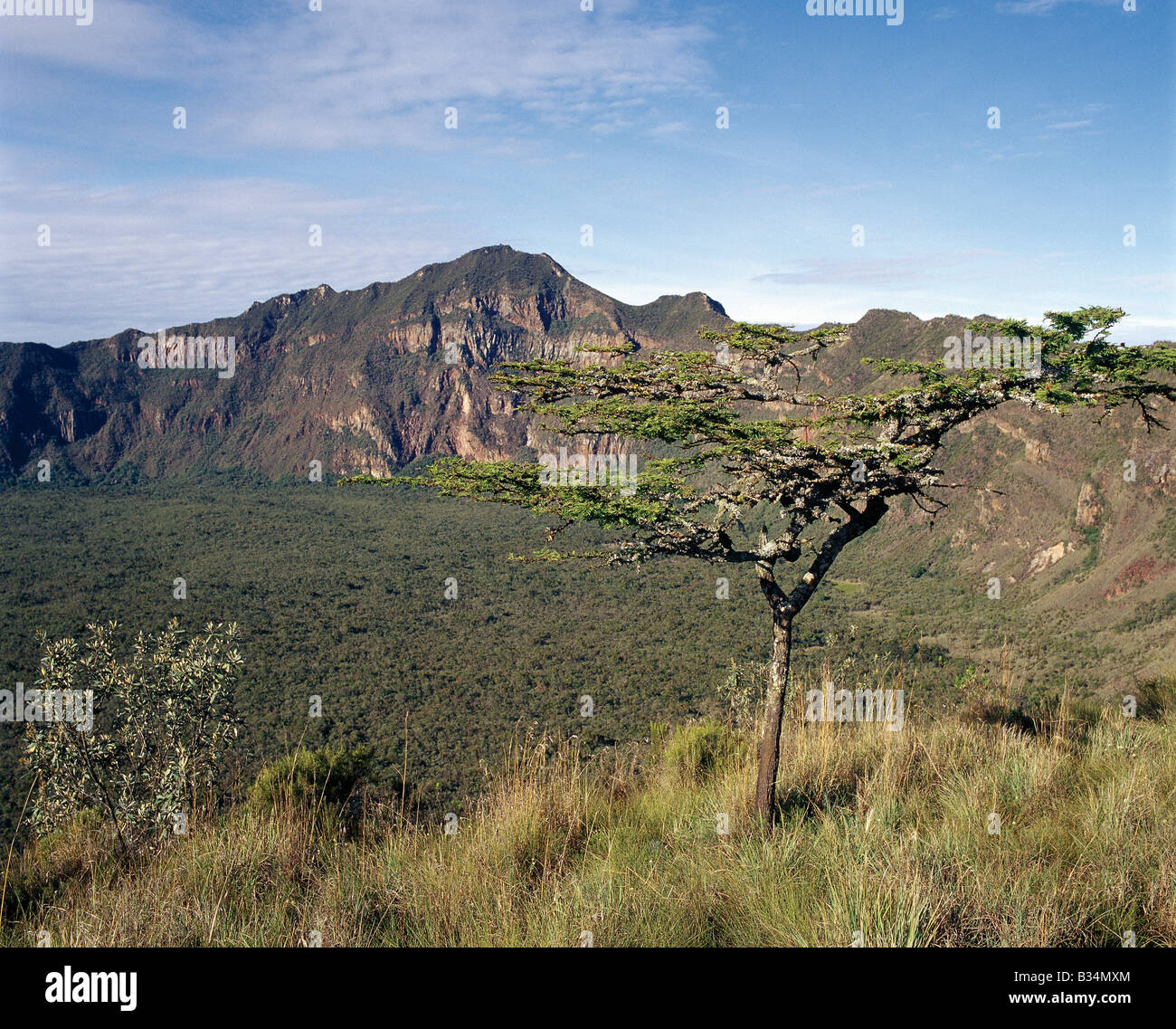 Kenya, Naivasha, volcan Longonot. Le mont Longonot est incontestablement d'origine volcanique à cause de sa forme et s'élève à une hauteur Banque D'Images
