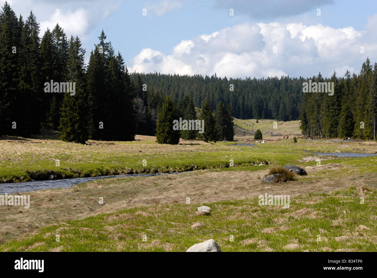 Roklansky Modrava potok Parc National de Sumava République Tchèque Banque D'Images