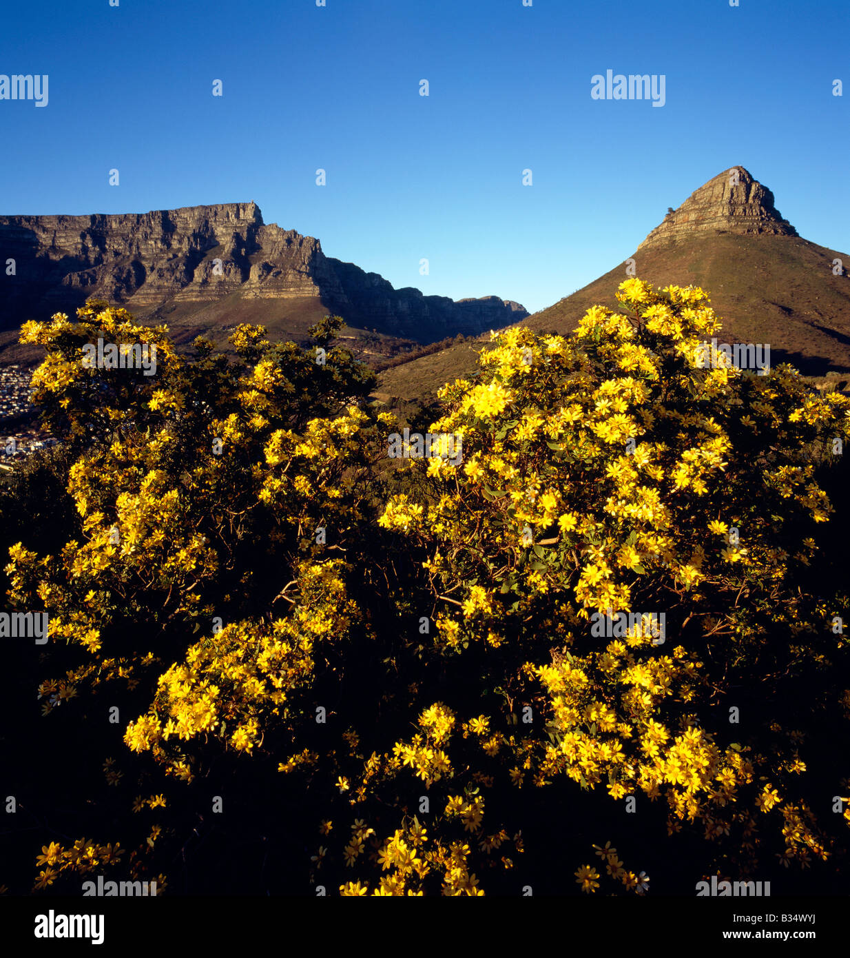 La montagne de la table (à gauche) et Lion's Head (r) s'élever au-dessus de Cape Town, Afrique du Sud Banque D'Images