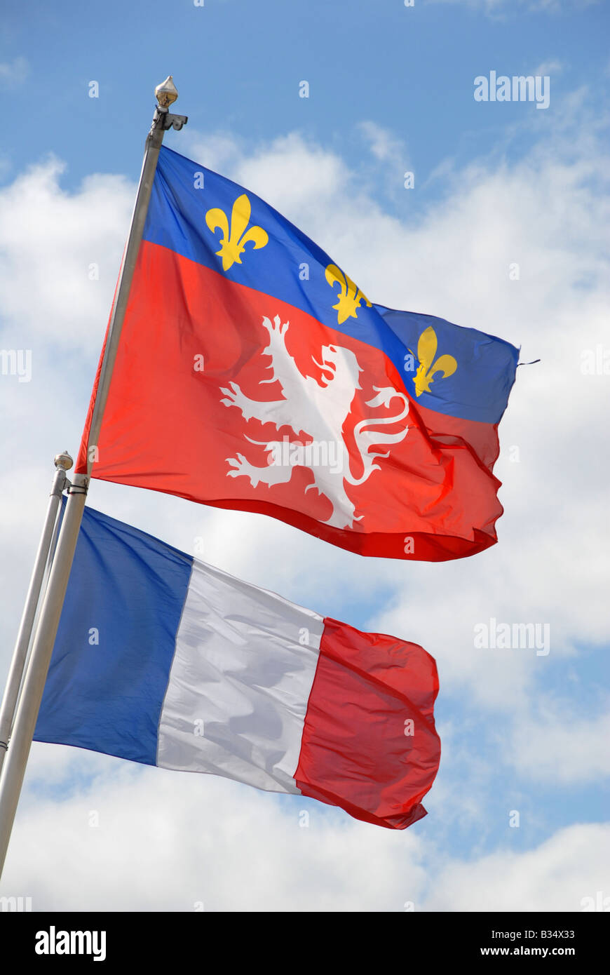 AZ FLAG - Drapeau Province Du Lyonnais - 45x30 Cm - Pavillon De Lyon 100% Polyester Avec Deux Cordelettes - 20g