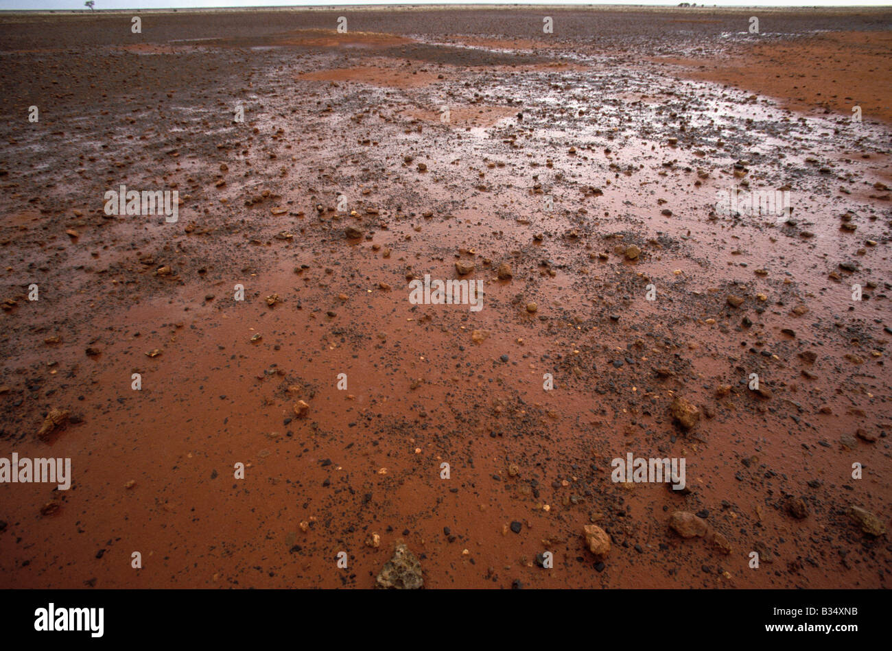 Tempête de pluie rare sur le Gibber Plain Old Andado Track Simpson Desert Australie Territoire du Nord Banque D'Images