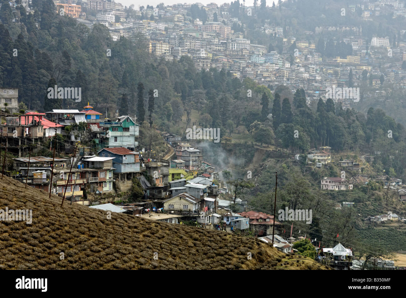 Toits de la ville de Darjeeling Banque D'Images