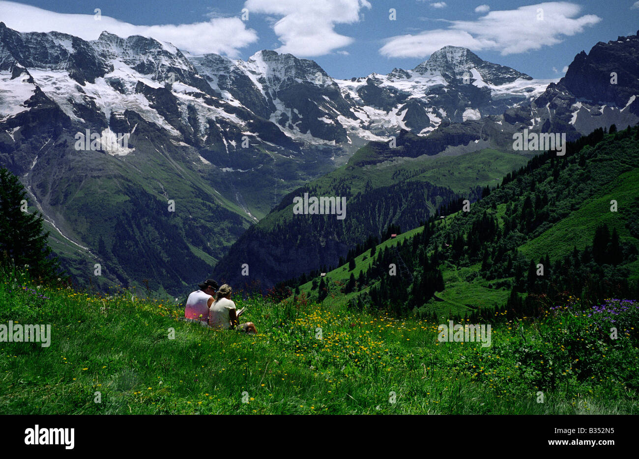 Lire la prairie de fleurs alpines vous détendre Suisse Berner Oberland Oberland bernois randonnée montagne shilthorn de l'énergie Sécurité d'exercice Banque D'Images