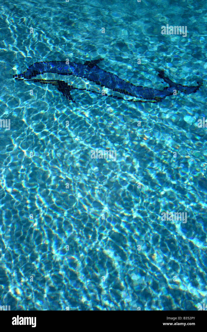 Mosaïque de dolphin sur fond d'une piscine Banque D'Images