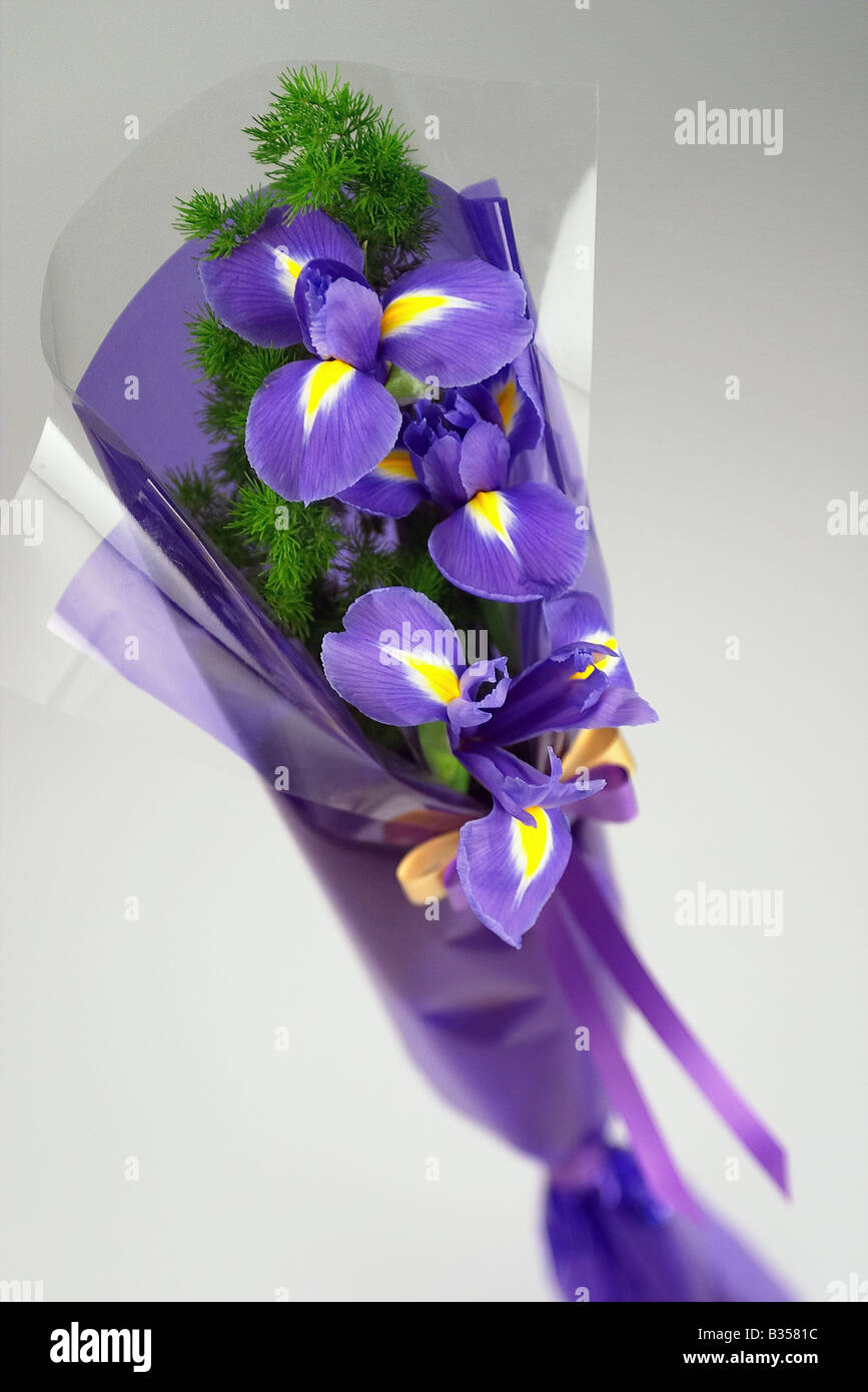 Bouquet de belles fleurs violettes isolé sur fond blanc. Banque D'Images