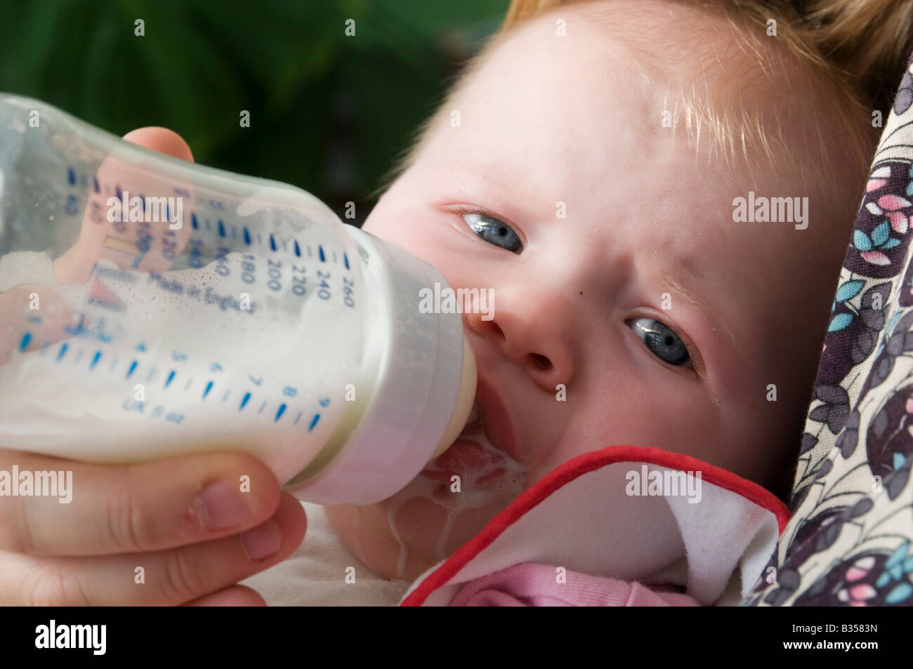 Le biberon de lait en poudre lait nourrir l'alimentation des bébés sucent  sucer la tétine fead meal Photo Stock - Alamy