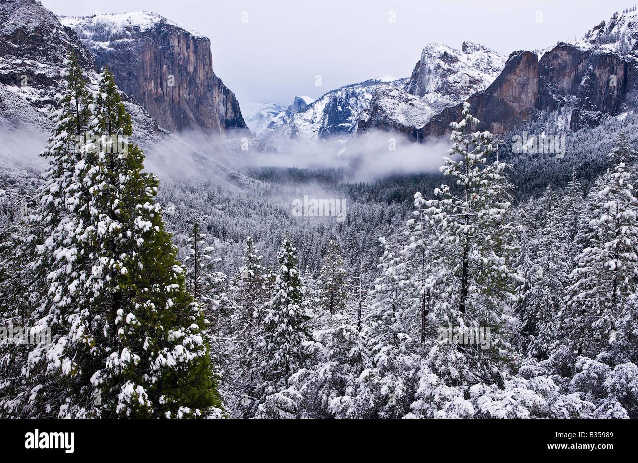 Centre d'une tempête de l'hiver révèle la beauté de la vallée Yosemite Yosemite National Park California USA Banque D'Images