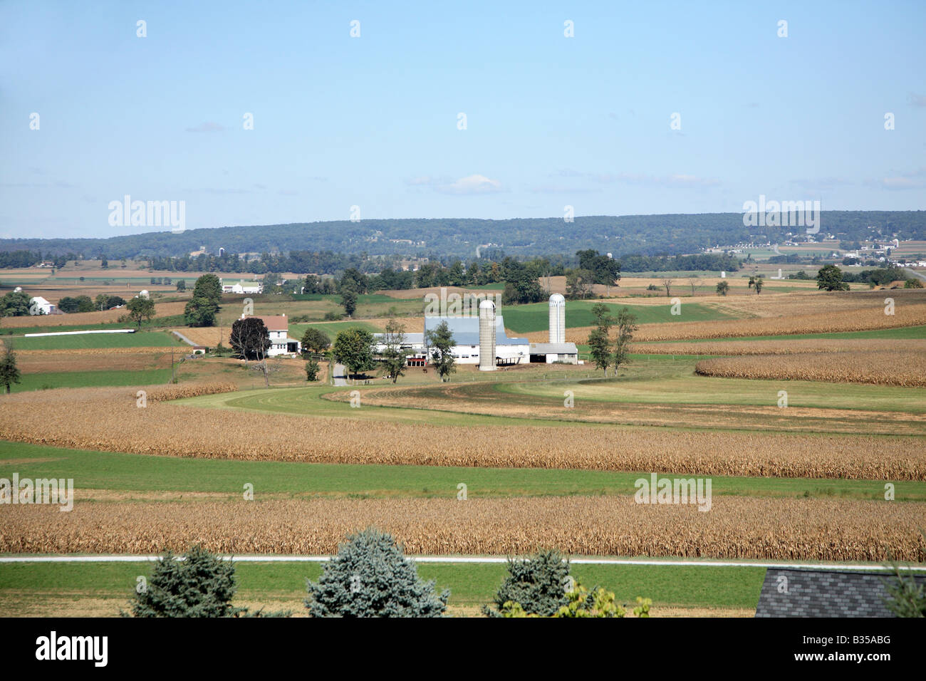 Ferme Pastorial ondulant sur les terres agricoles. Banque D'Images