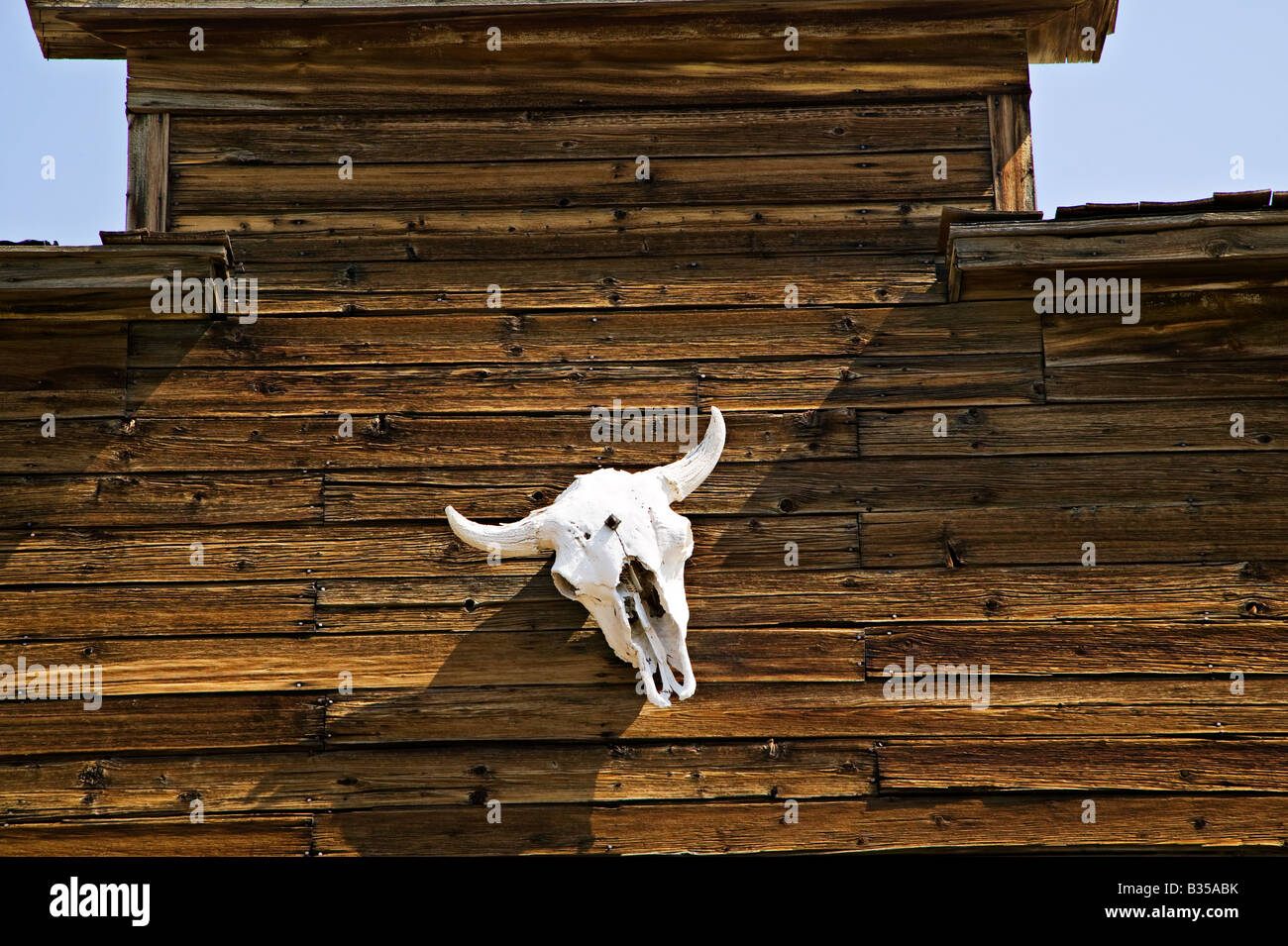 Bâtiment en bois sur le crâne de vache Banque D'Images
