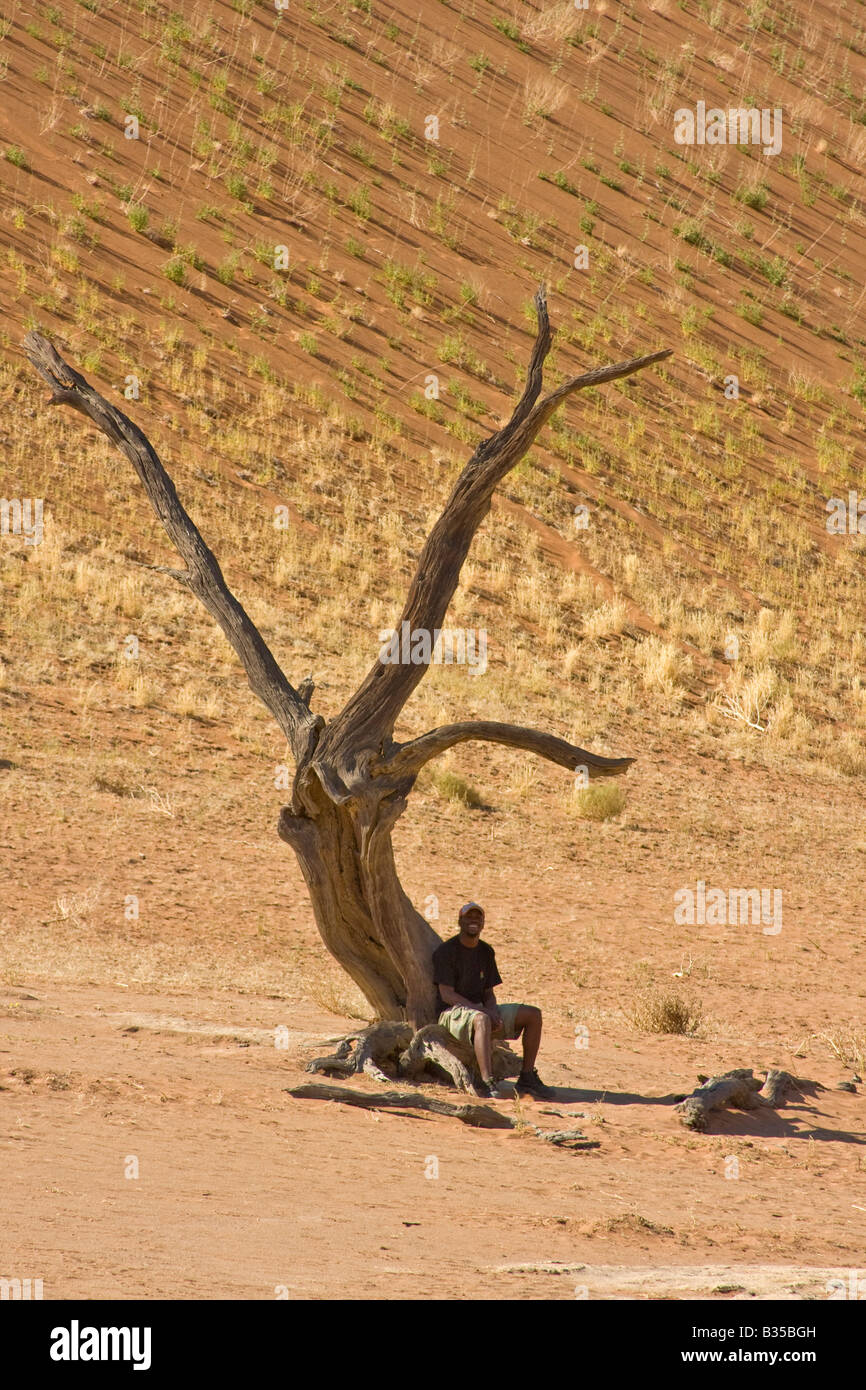 L'homme se dresse au milieu des restes de squelettes camel thorn acacia sur le calcaire et des dunes de sable de Dead Vlei en Afrique Namibie Banque D'Images