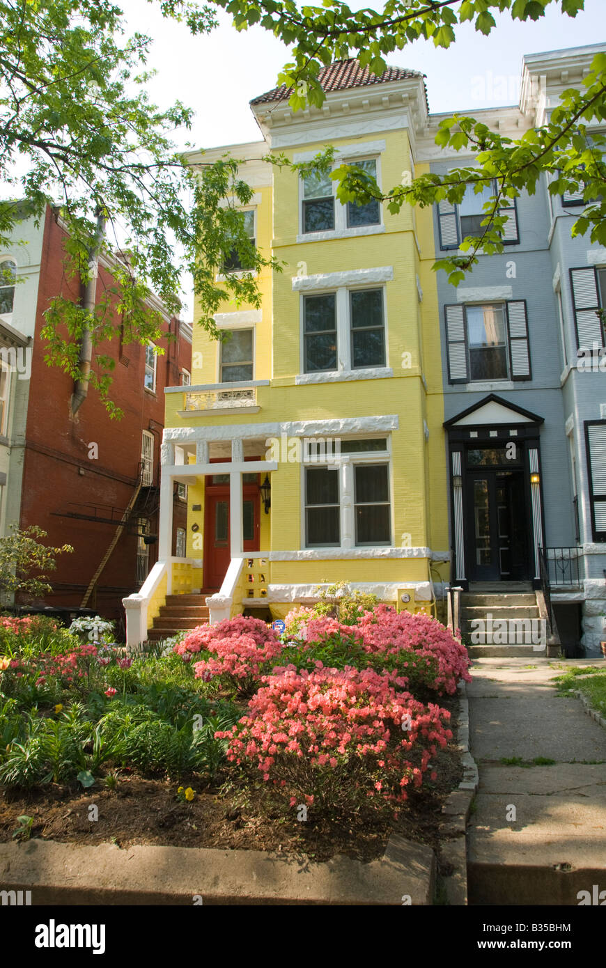 Jolie maison en brique jaune avec azalées sur Kalorama à Washington, DC. Banque D'Images Jolie maison en brique jaune avec azalées sur Kalorama à Washington, DC. Banque D'Images