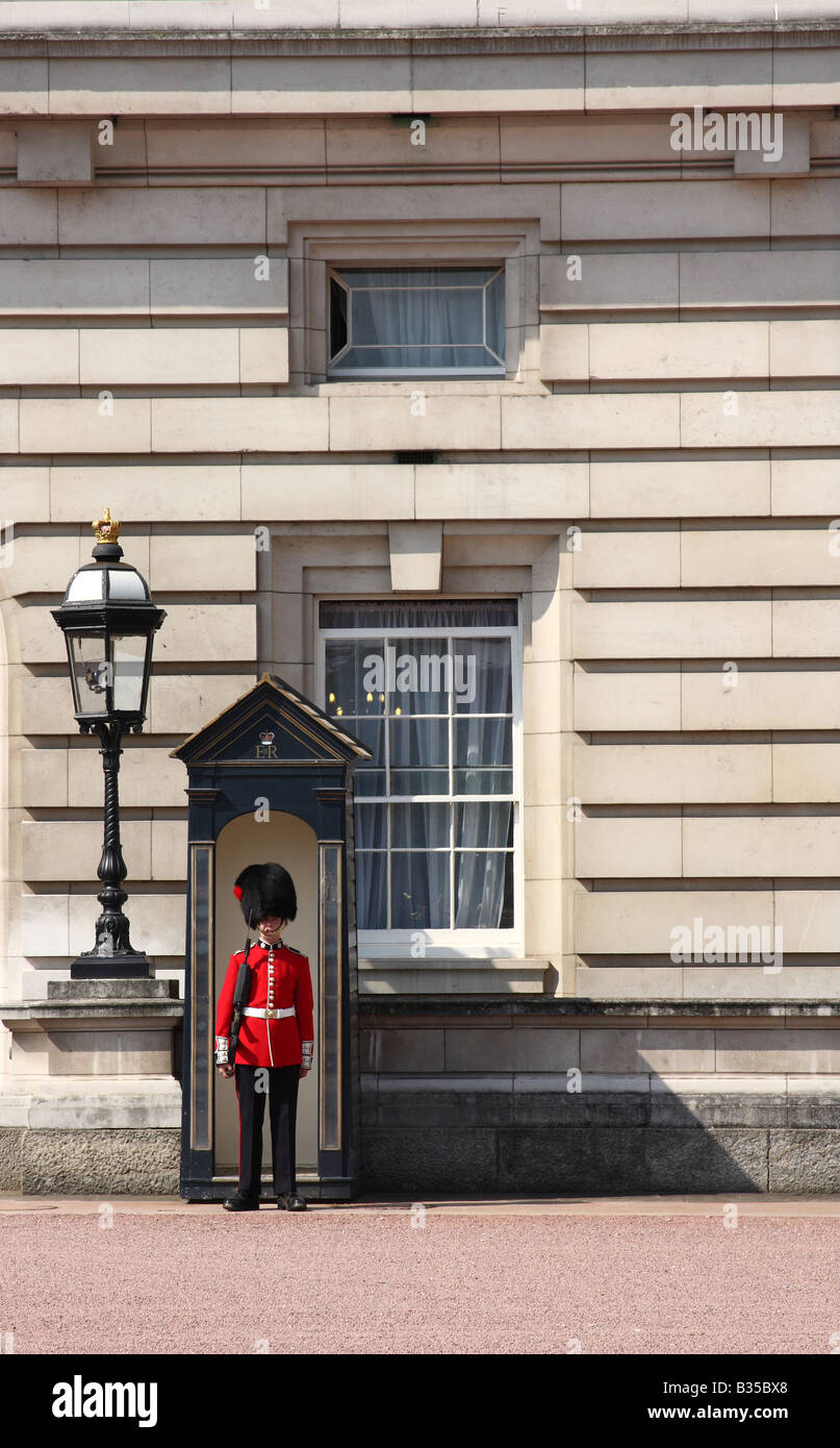 Garde à Buckingham Palace, Westminster, Londres, Angleterre, Royaume-Uni Banque D'Images