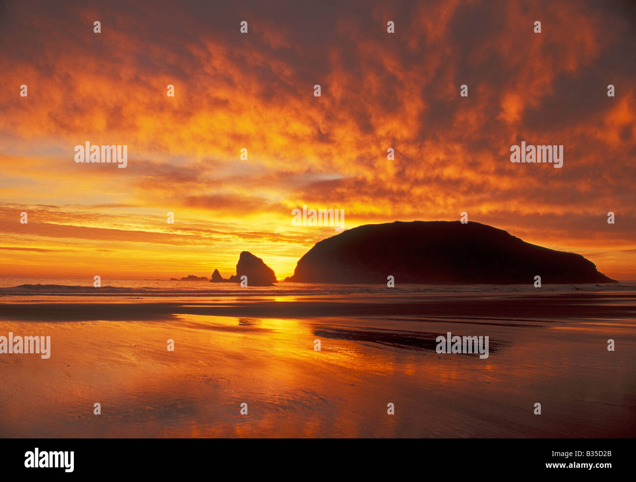 Coucher du soleil à Harris Beach State Park sur la côte sud de l'Oregon Banque D'Images Coucher du soleil à Harris Beach State Park sur la côte sud de l'Oregon Banque D'Images