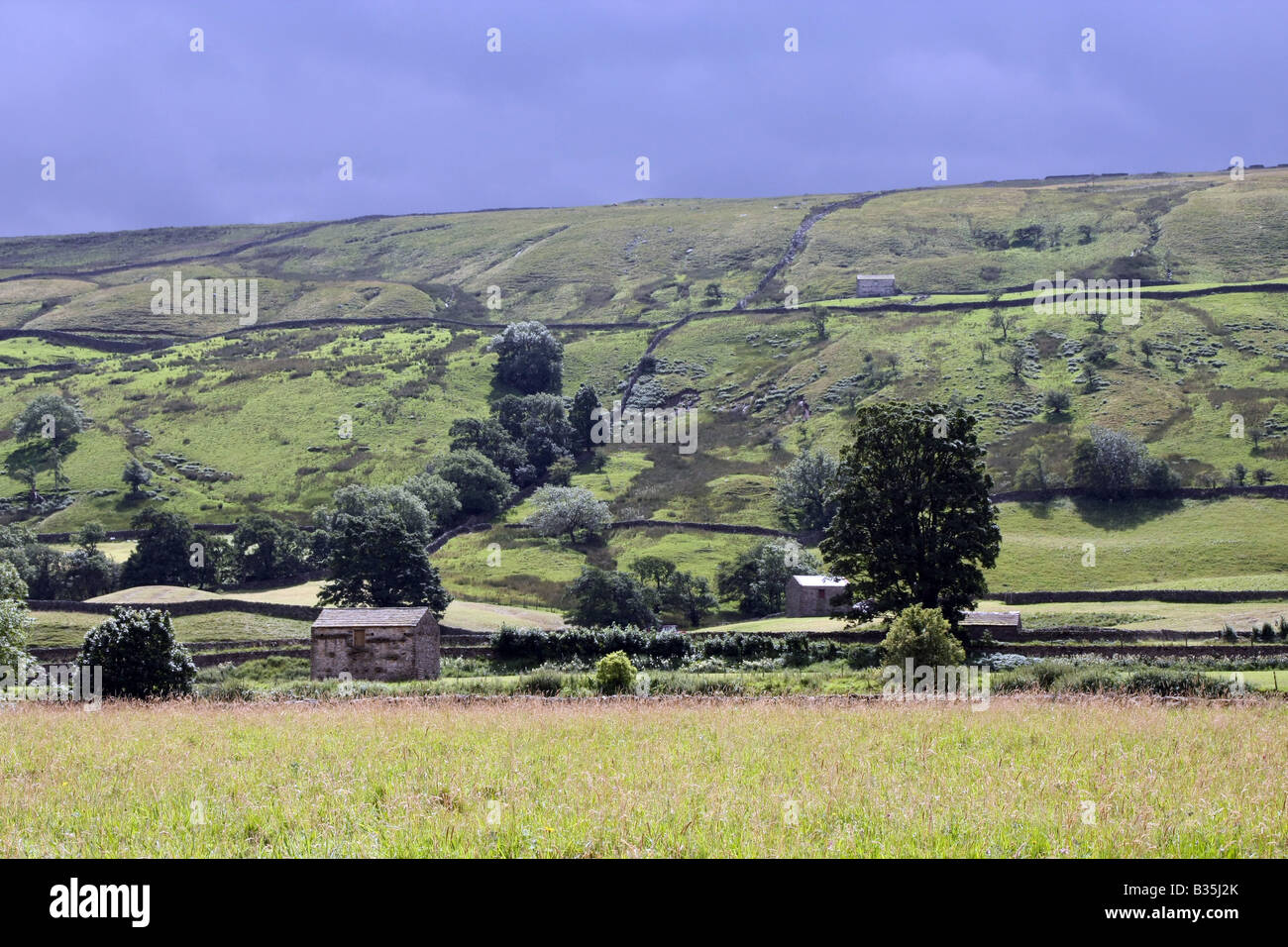 Domaine des granges dans la région de Swaledale Banque D'Images