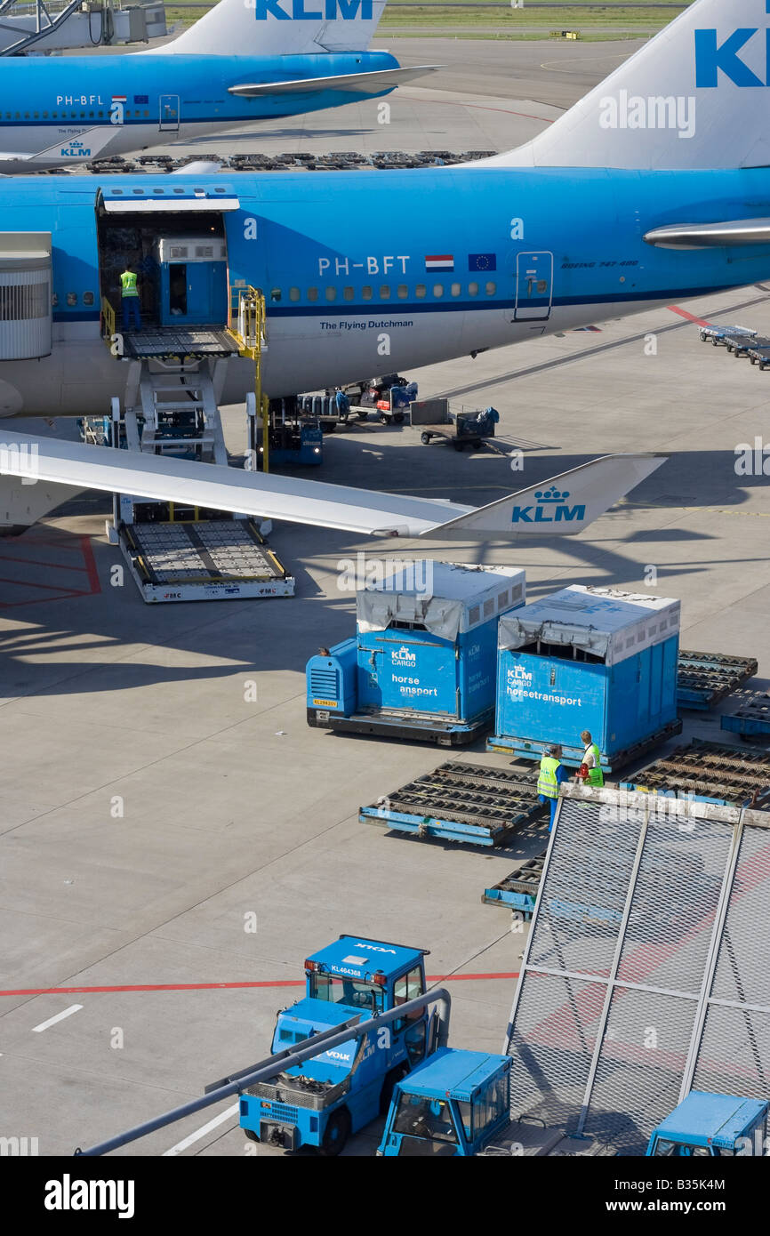 À l'aéroport d'Amsterdam Schiphol, l'équipe au sol est le chargement d'un conteneur de transport de chevaux dans un Boeing 747-400 KLM M Combi. Banque D'Images