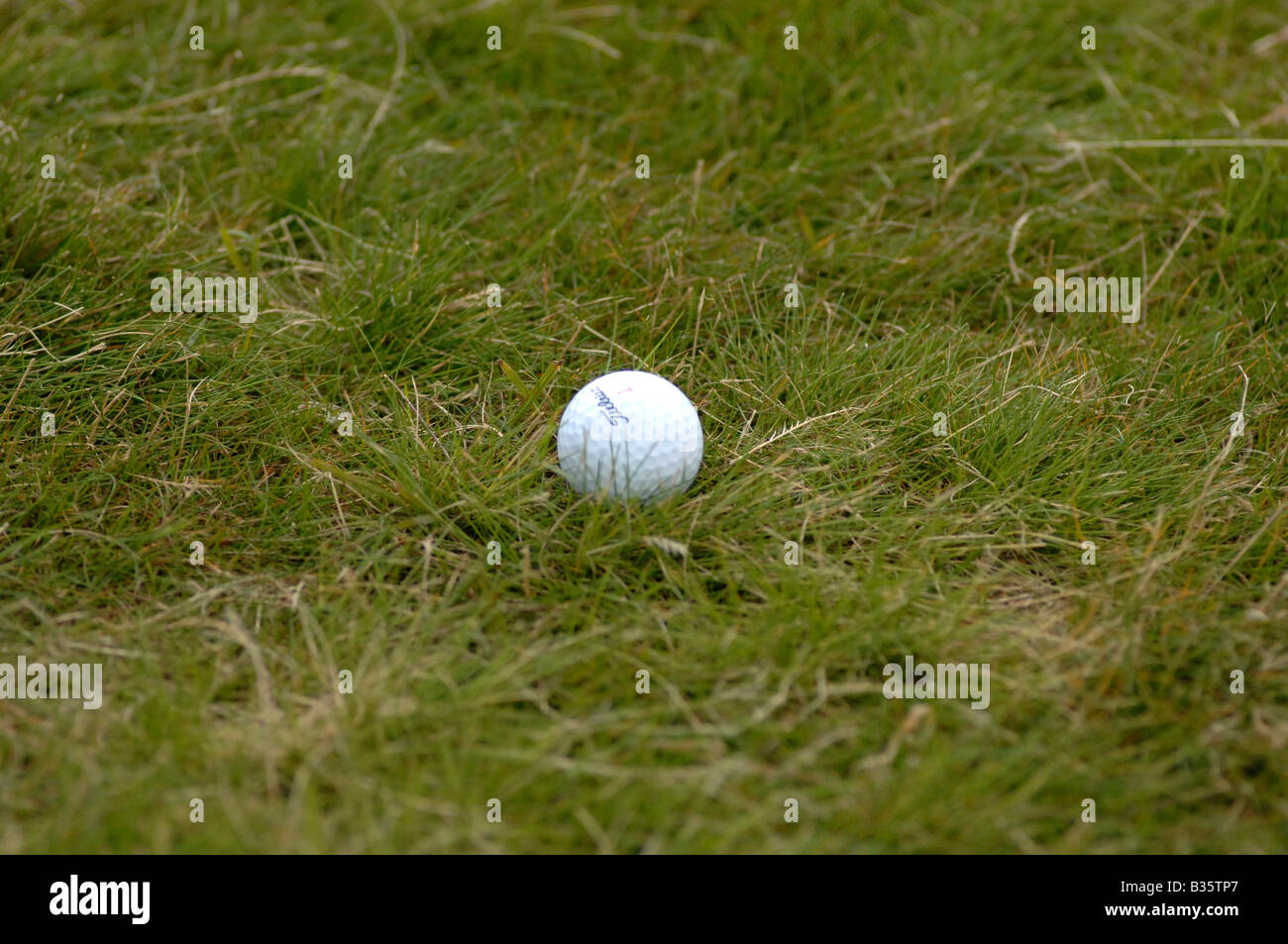 Balle de golf Banque D'Images