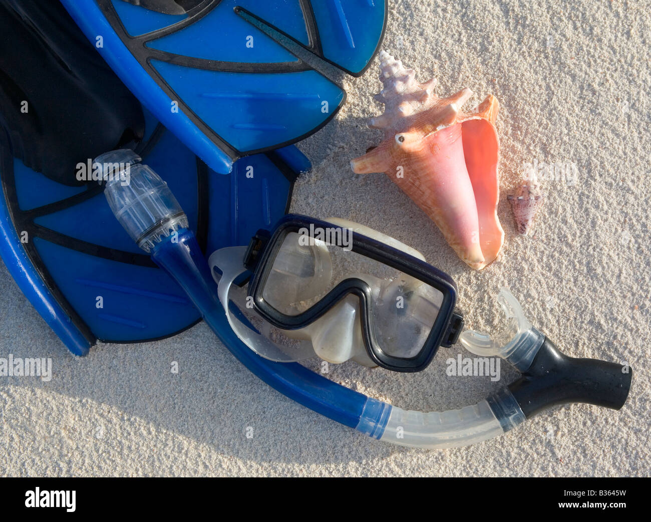 Matériel de plongée et d'obus sur une plage des Caraïbes. Banque D'Images