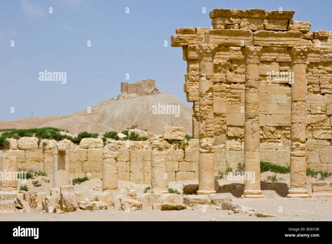 L'Agora romaine et château arabe Qalaat ibn Maan Palmyre en Syrie Banque D'Images