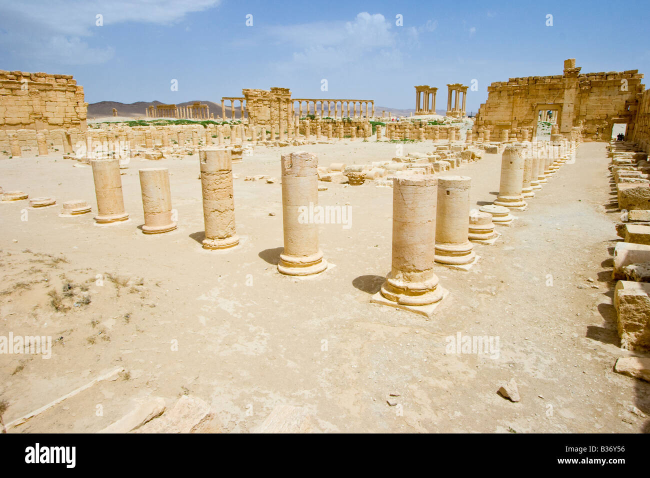 Agora romaine antique à Palmyre en Syrie Banque D'Images