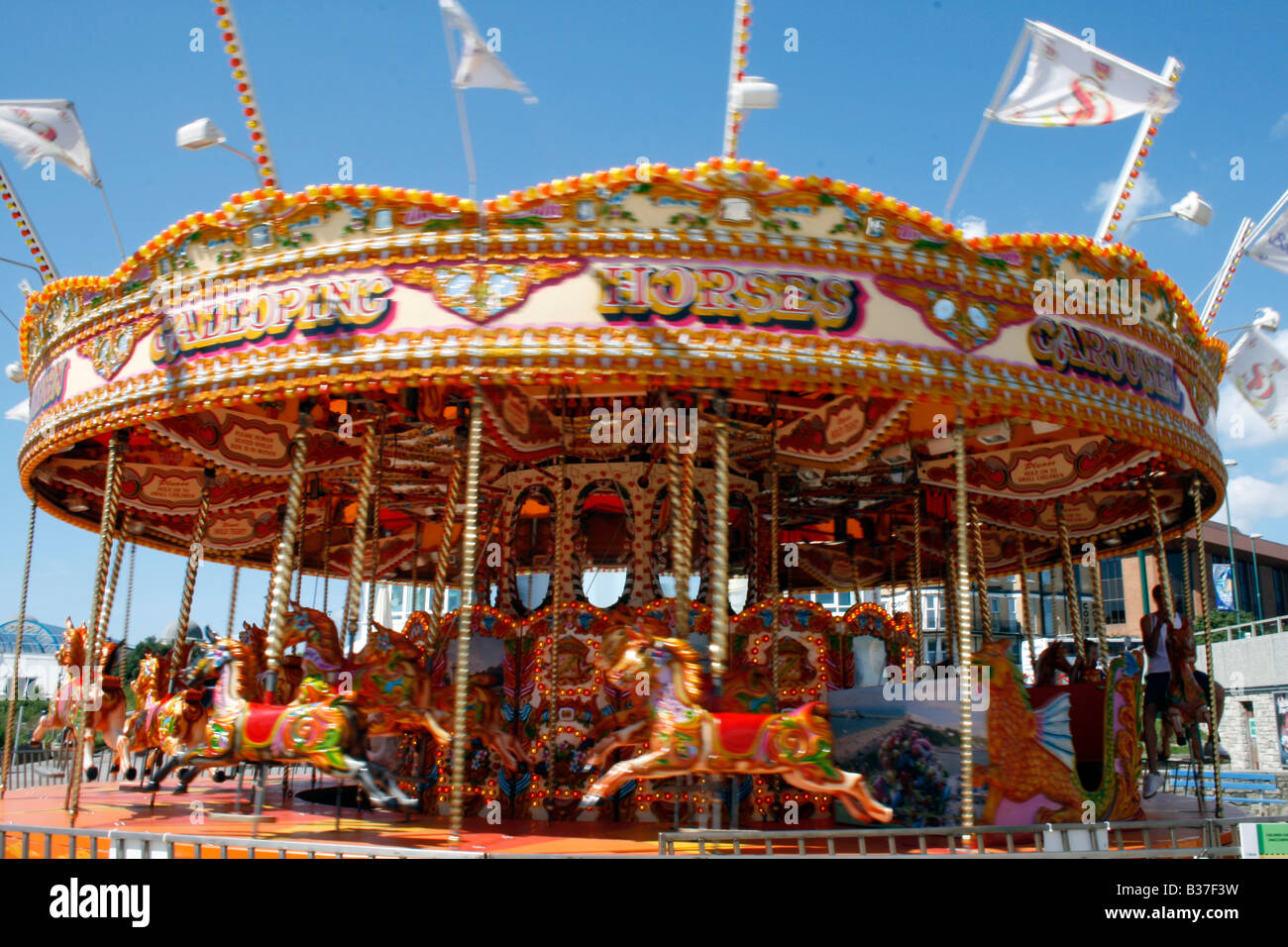 Le galop des chevaux. Photo de Kim Craig. Banque D'Images