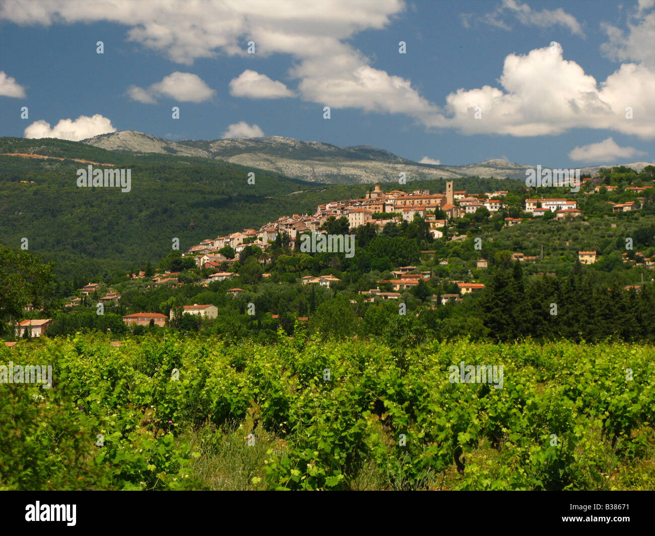 Le village provençal de Fayence avec un grand vignoble à l'avant-plan, Var, France Banque D'Images