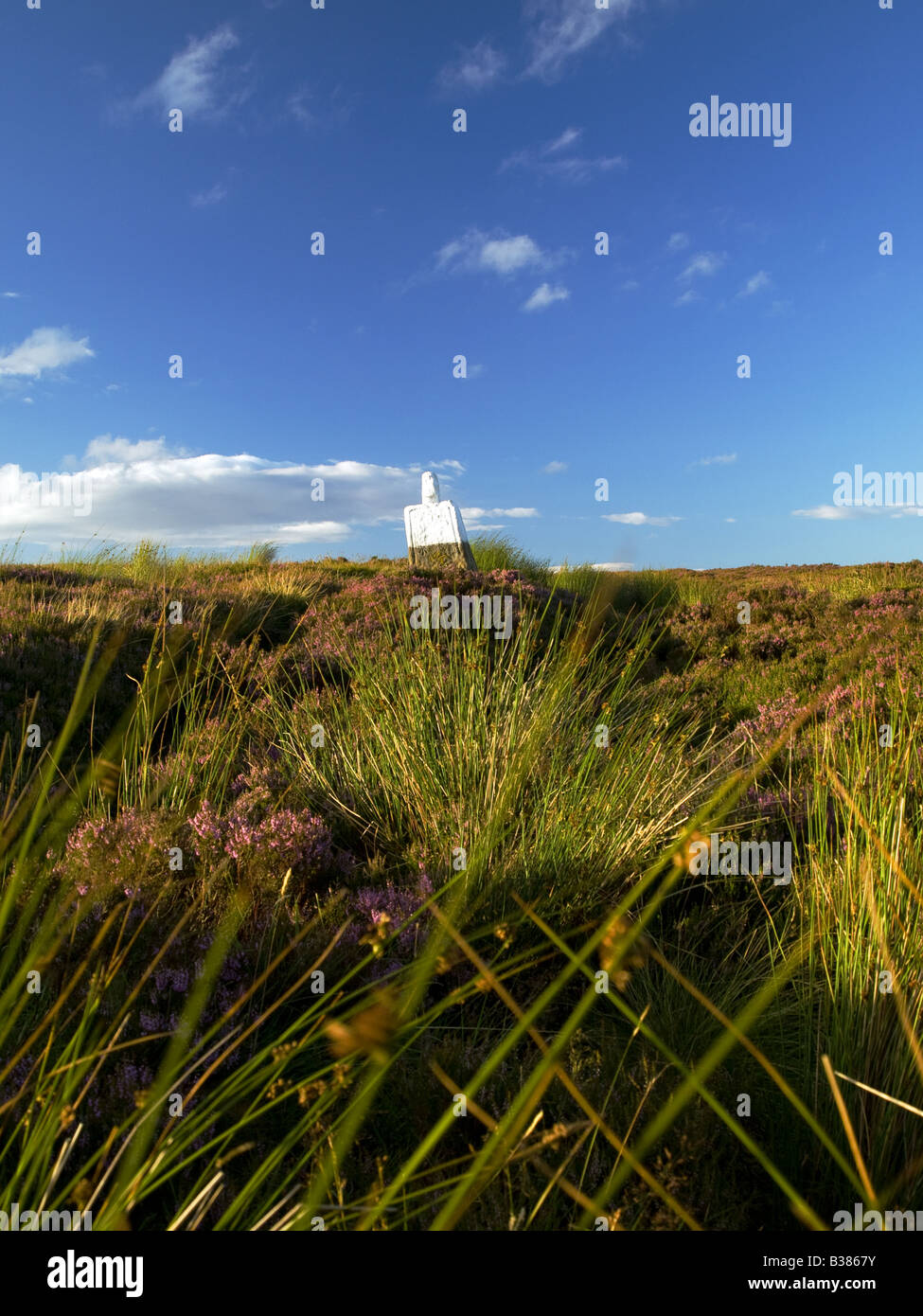 Betty Fat North York Moors National Park Banque D'Images