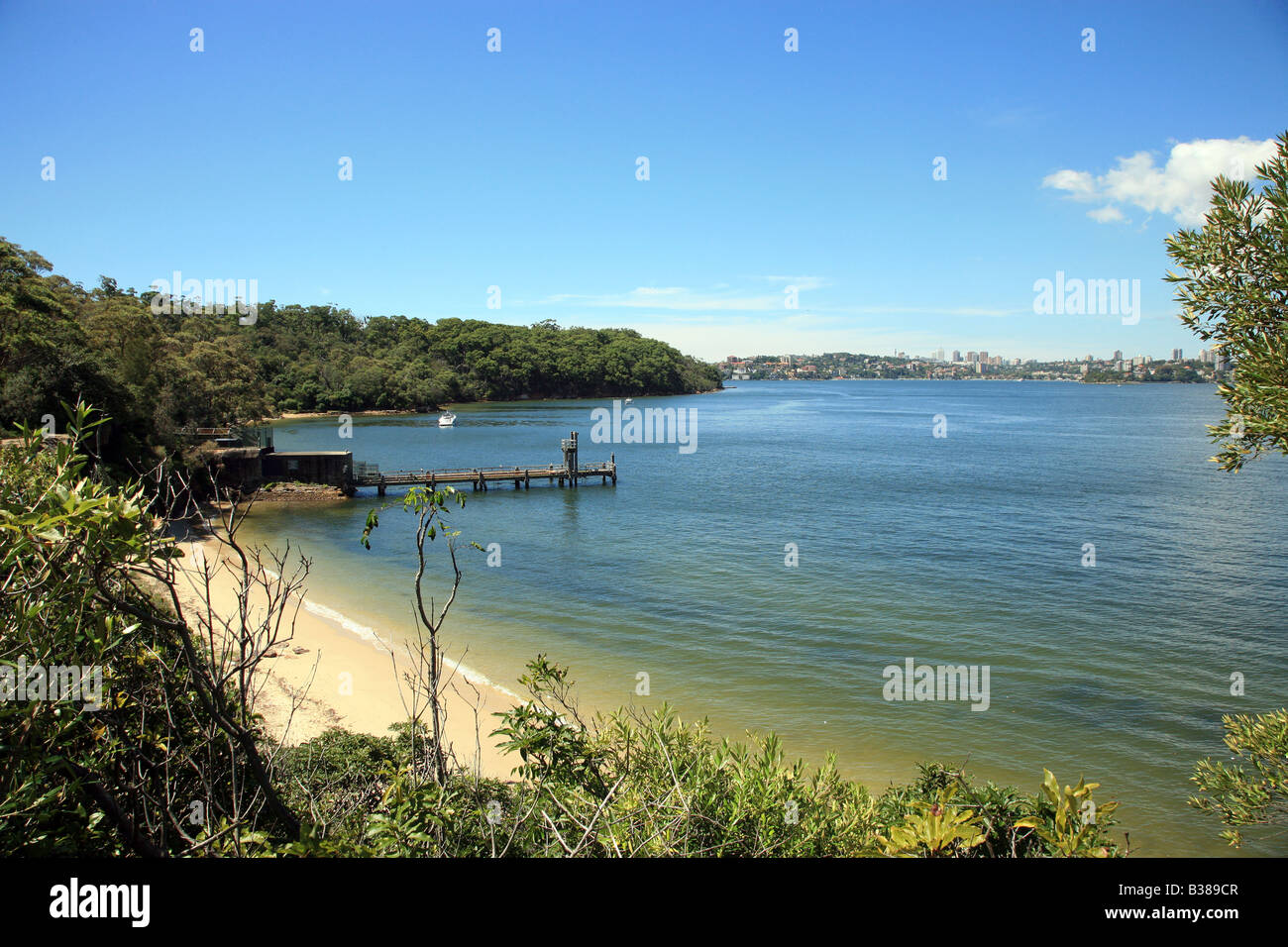 Sydney Harbour bay beach Banque D'Images